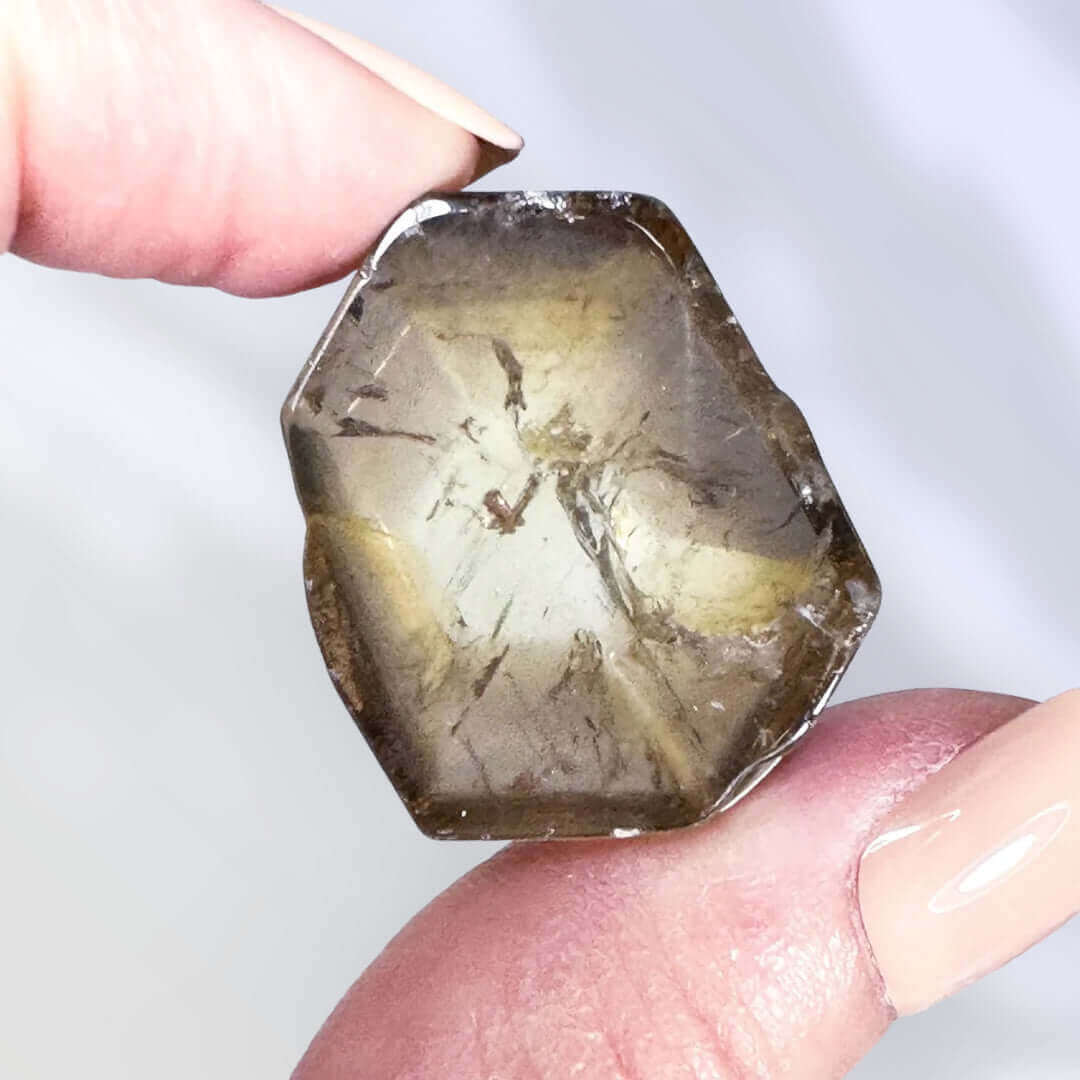 Natural African Citrine Slice | Stock B