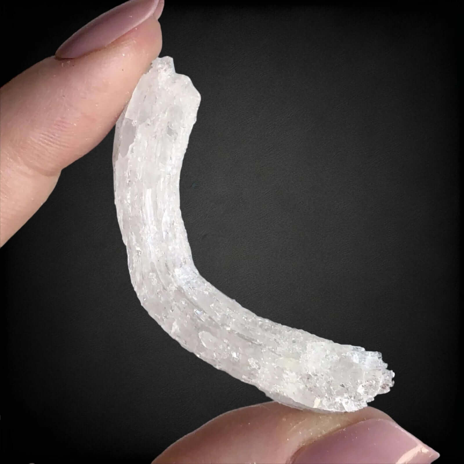 Ram's Horn Selenite | Stock M