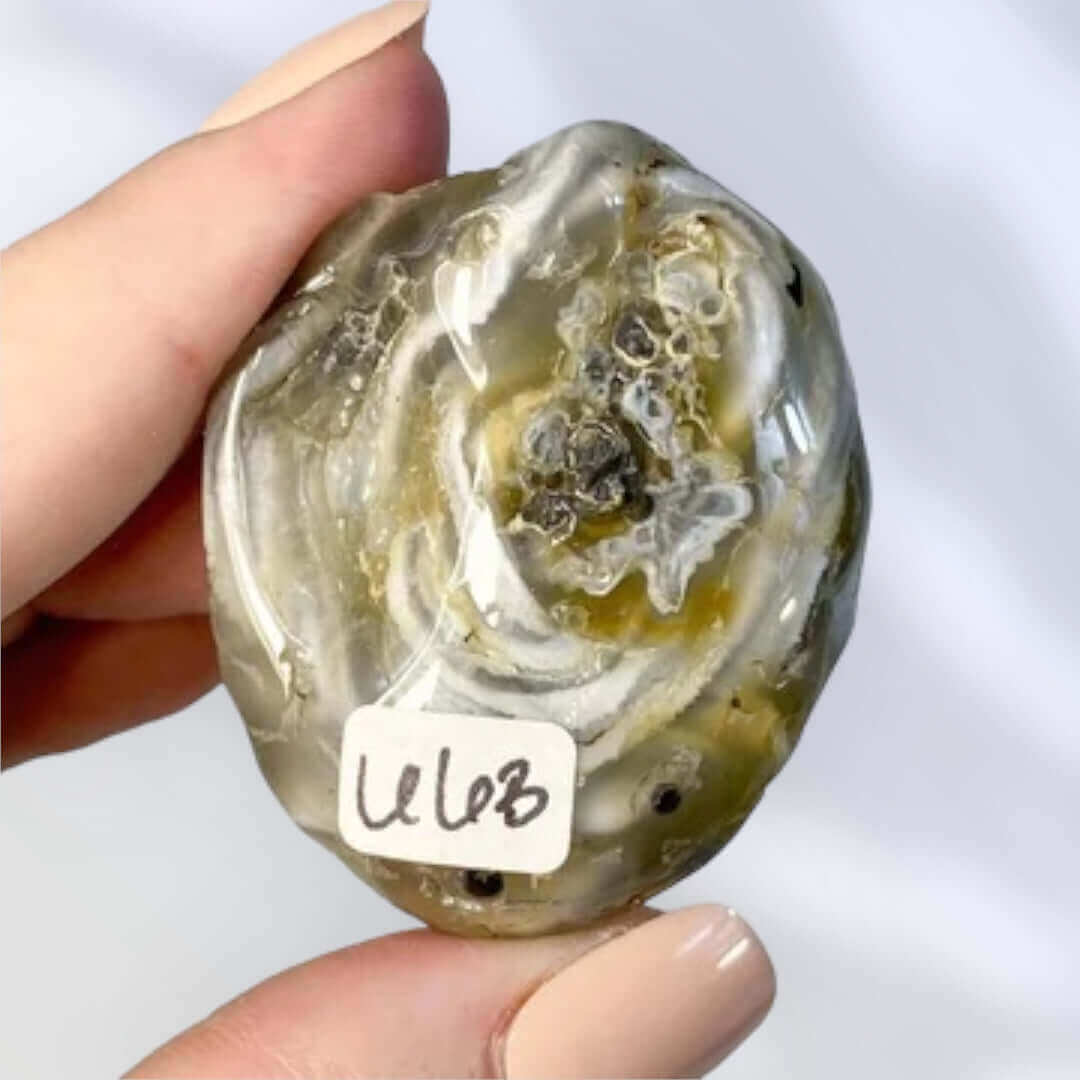 Enhydro Agate | Stock B