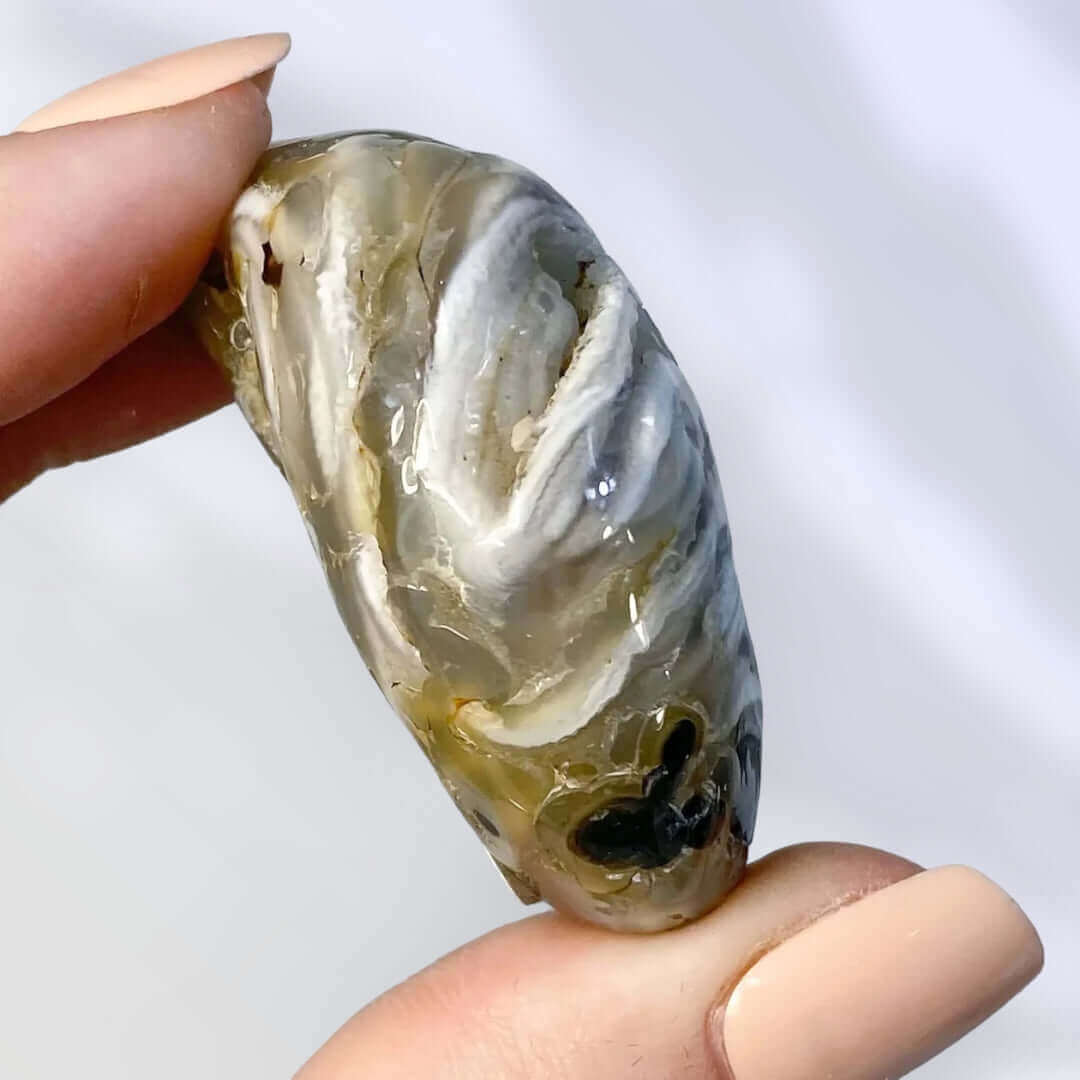Enhydro Agate | Stock B