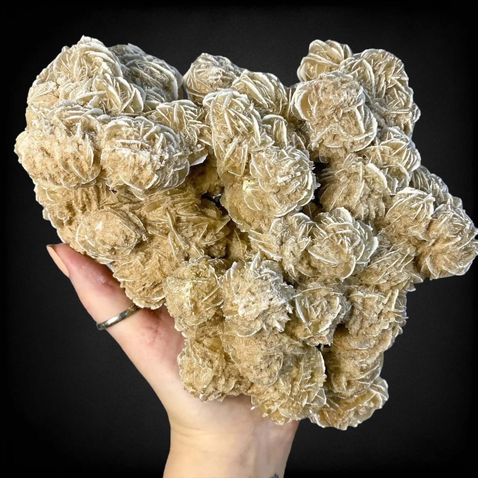 Desert Rose Selenite Stock C