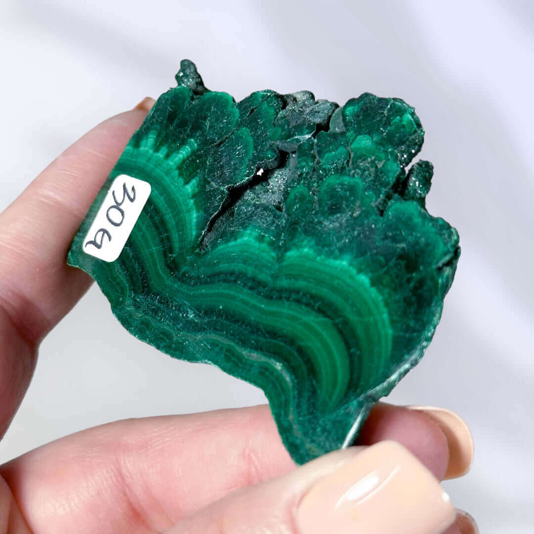 Druzy Malachite Slice | Stock G