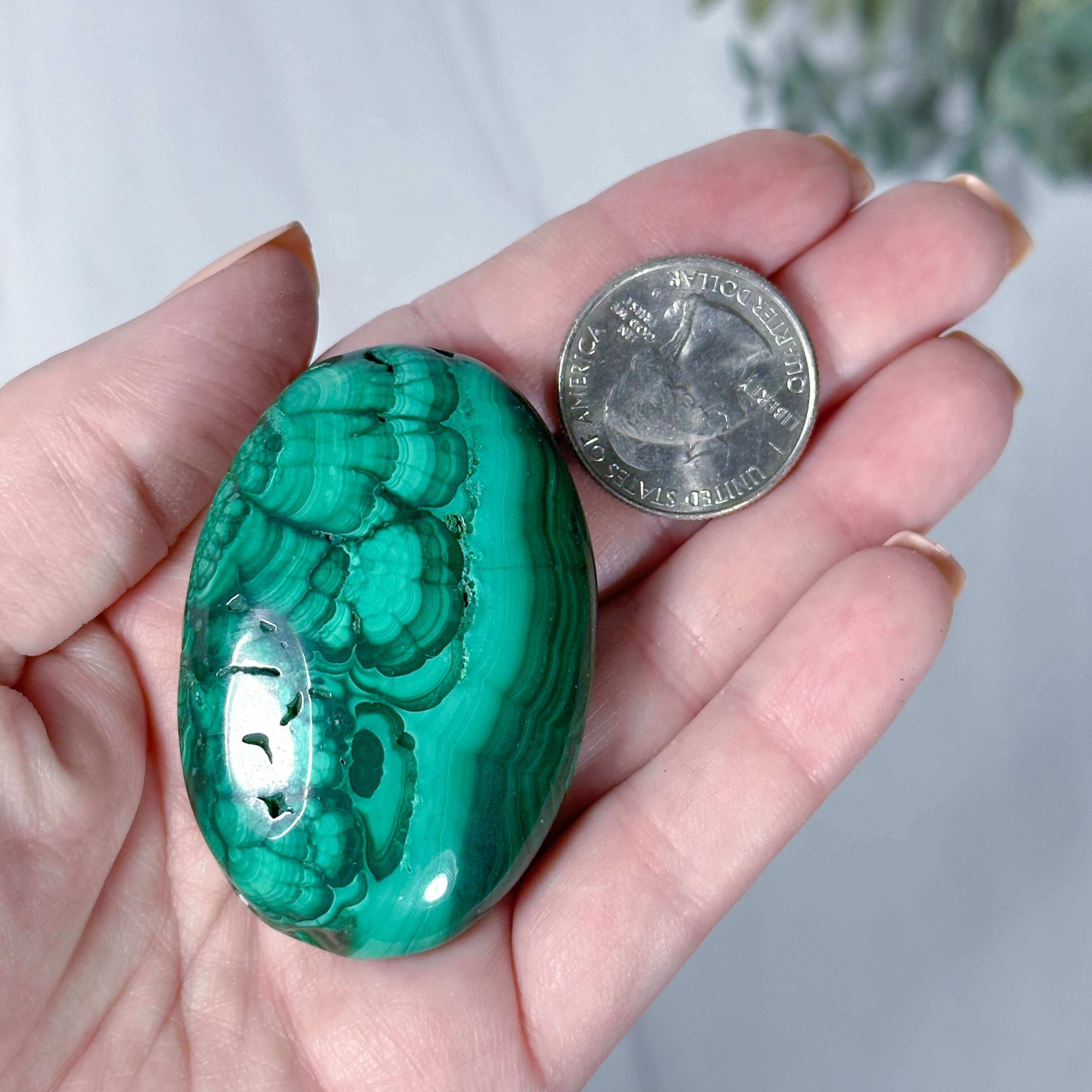 Malachite Palm Stone | Stock R