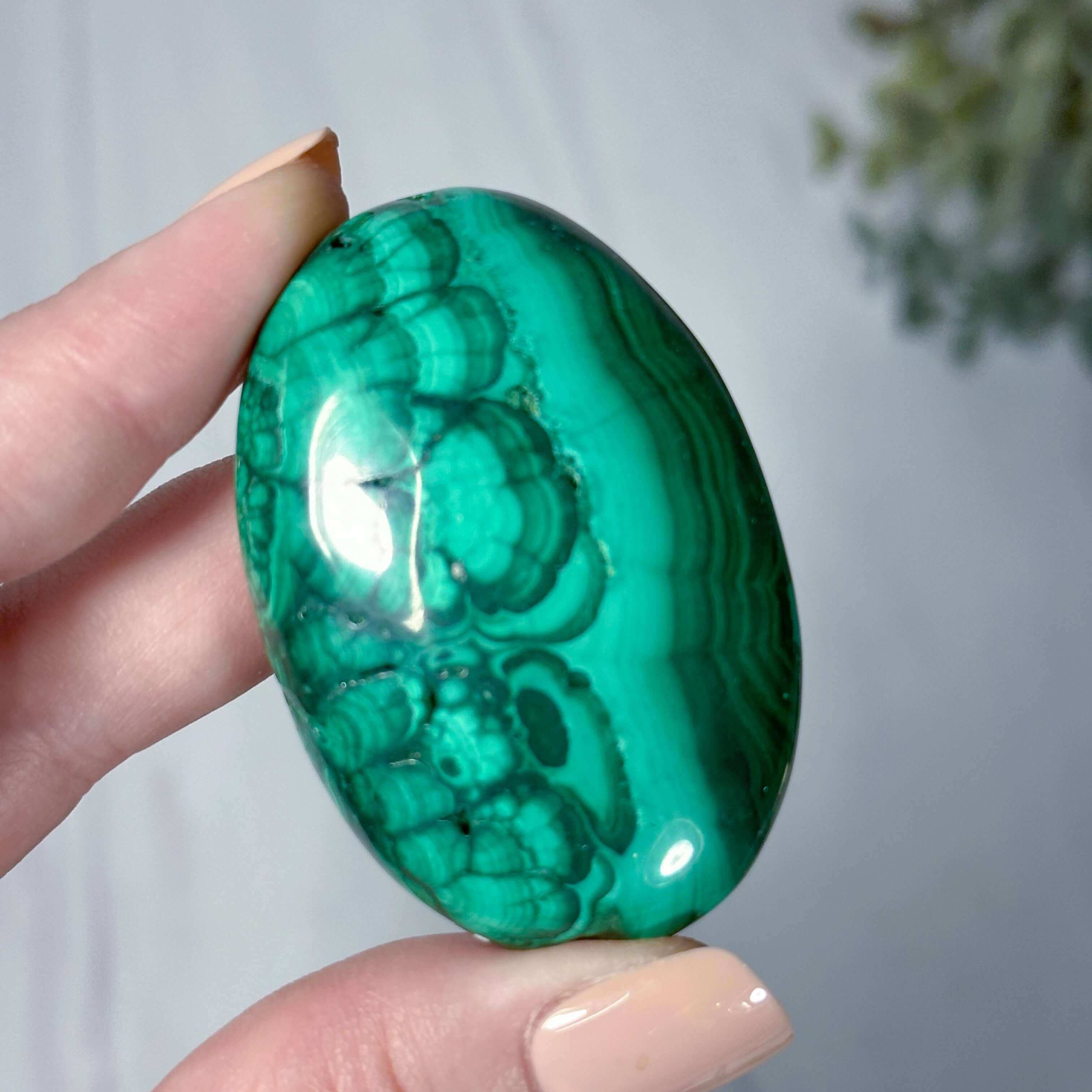 Malachite Palm Stone | Stock R