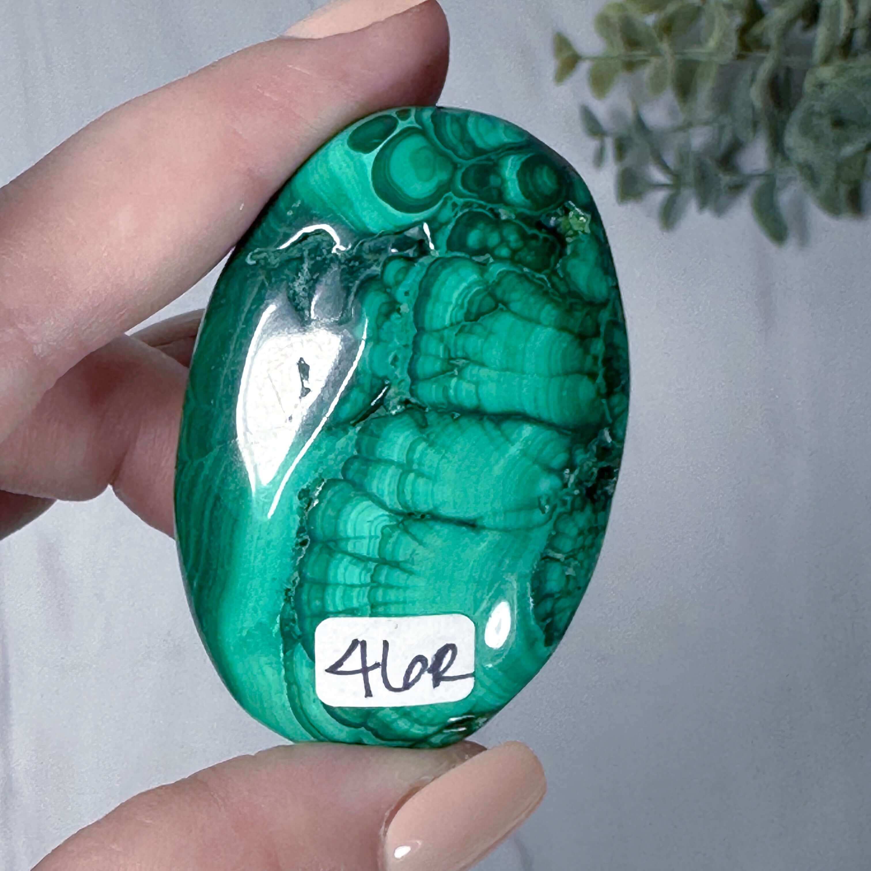 Malachite Palm Stone | Stock R