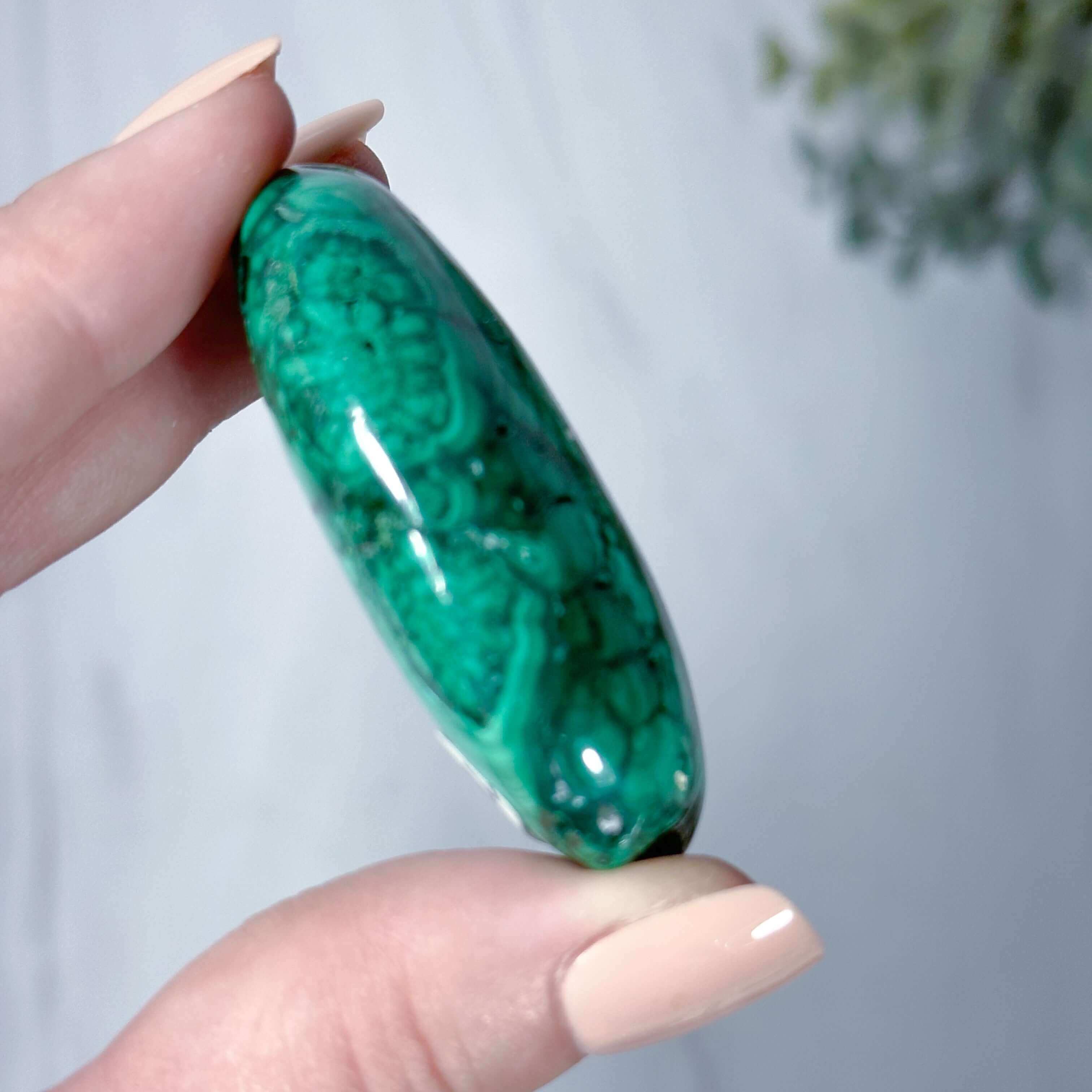 Malachite Palm Stone | Stock R