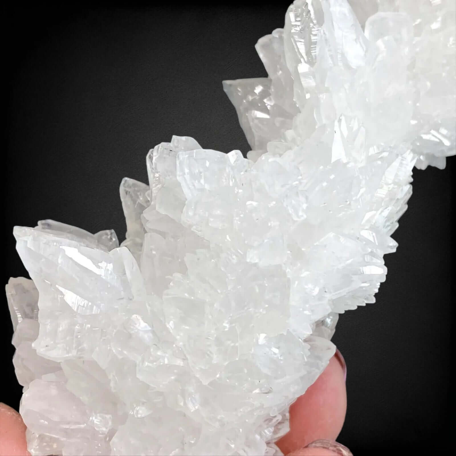 Rare Selenite Crystal Stalactite | Stock A