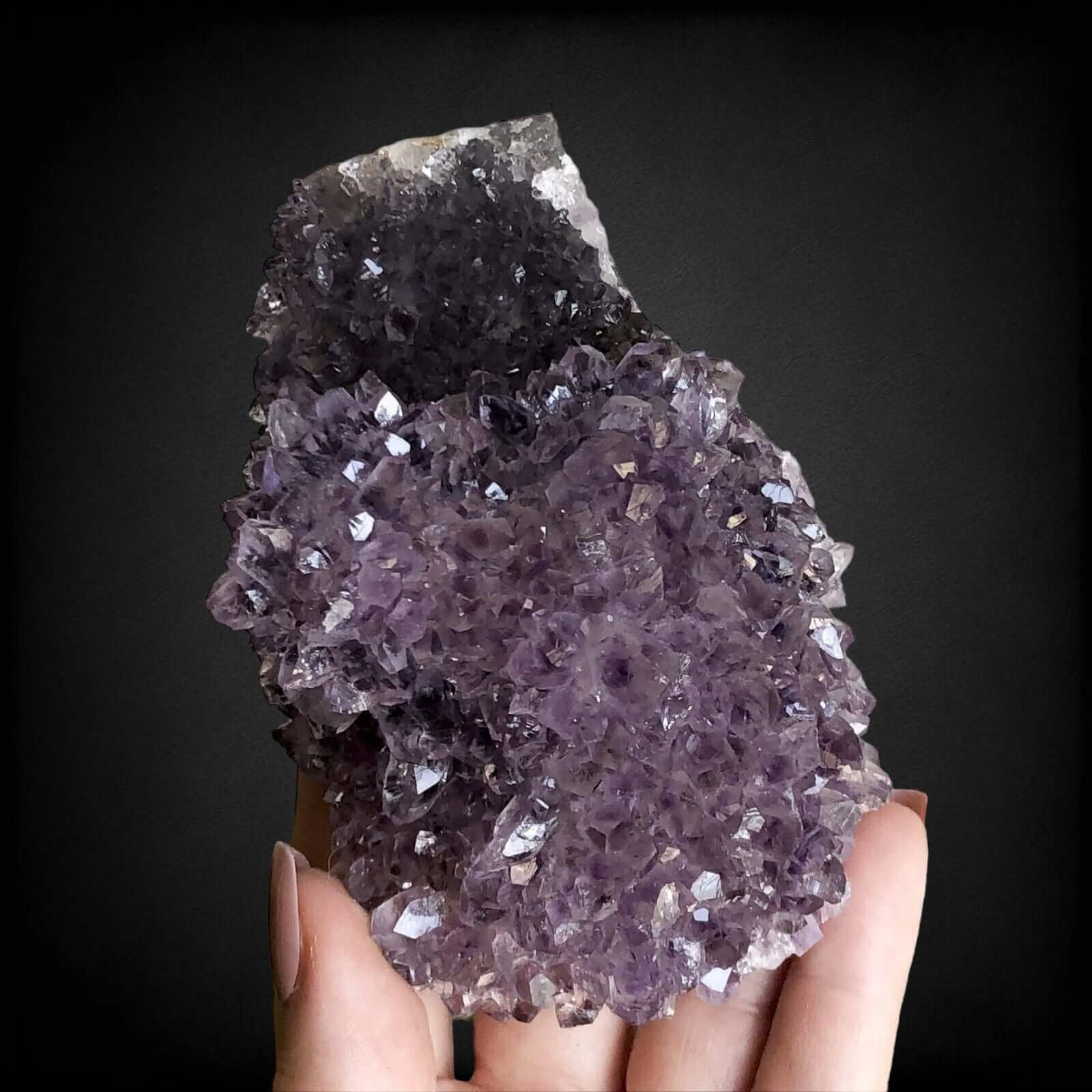 Amethyst Flower | Stock P