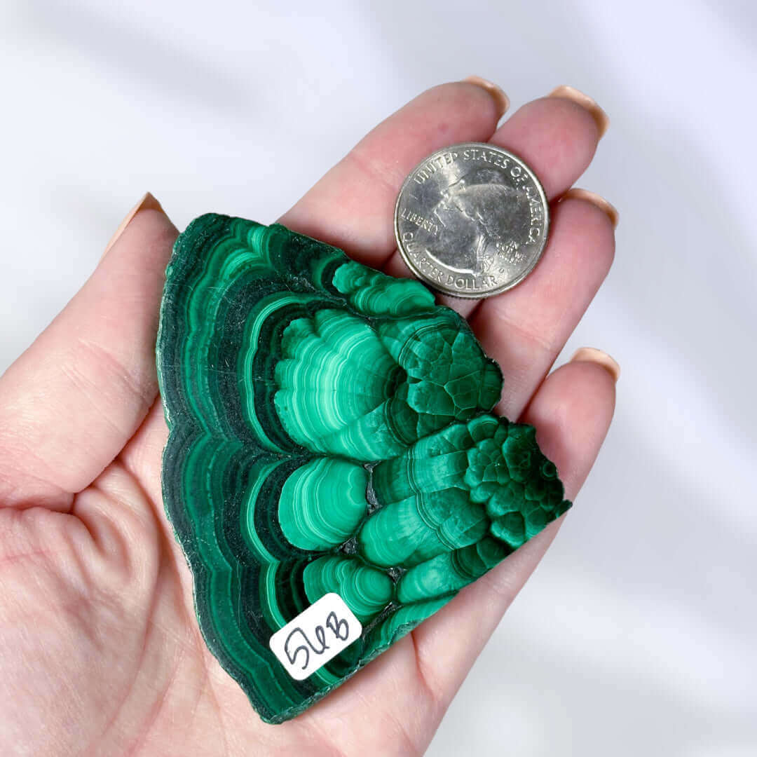 Druzy Malachite Slice | Stock B