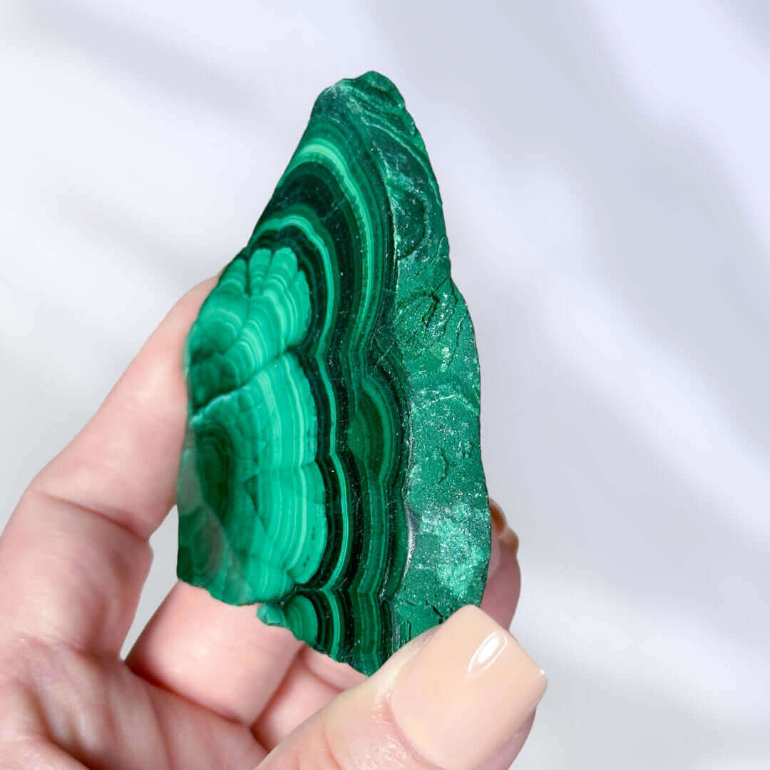 Druzy Malachite Slice | Stock B