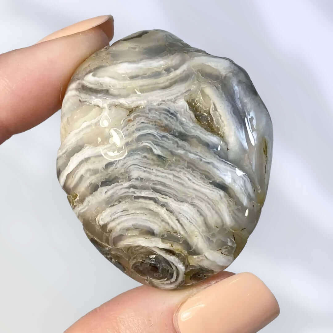 Enhydro Agate | Stock B