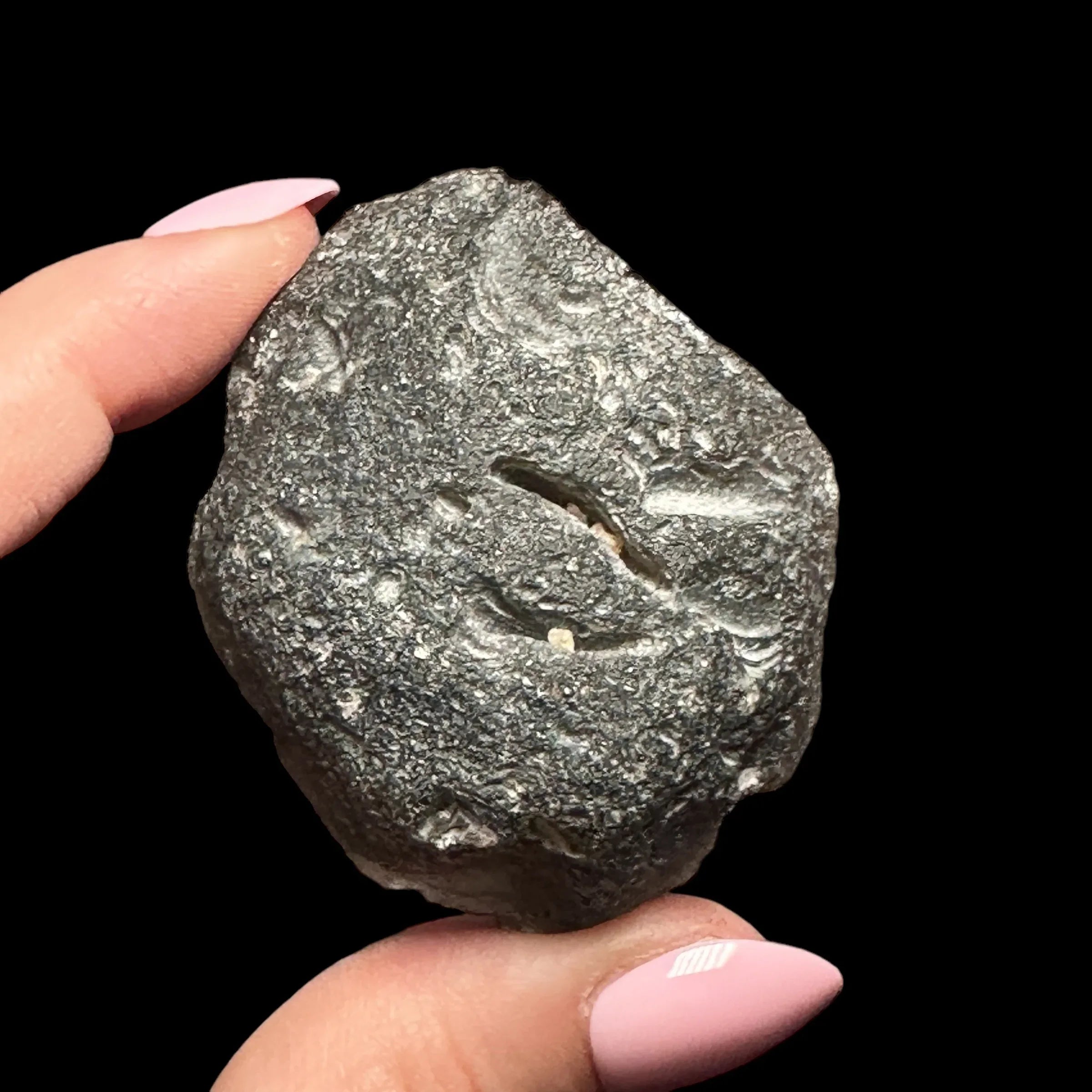 Indonesian Tektite Slice - Translucent - Mooncat Crystals