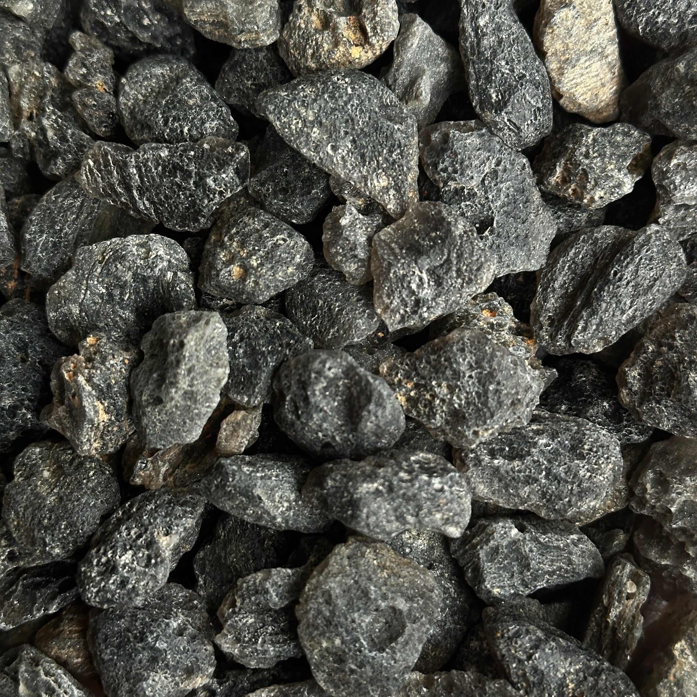 Indonesian Tektite | Small - Mooncat Crystals