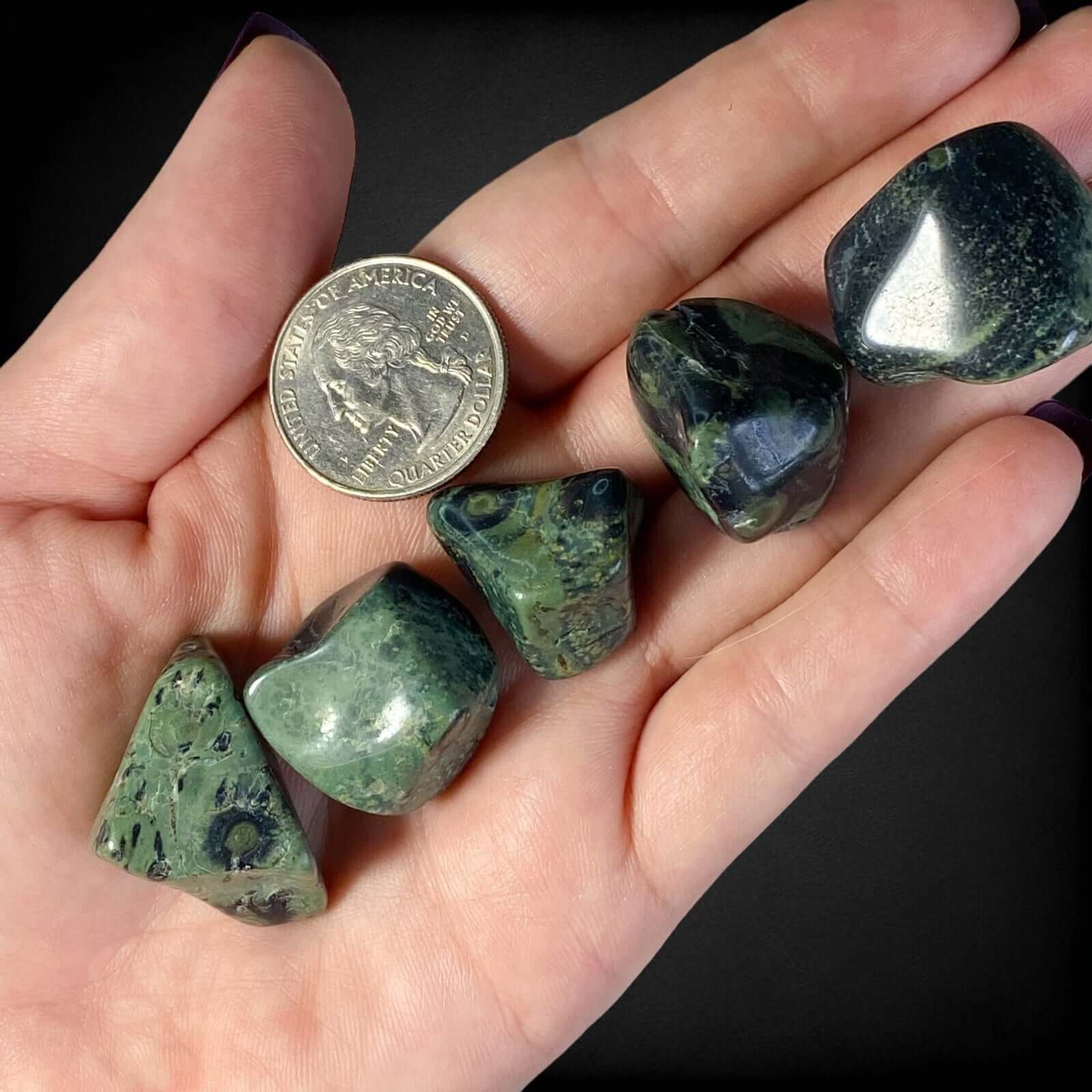 Kambaba Jasper Tumbles | Set of 2 - Mooncat Crystals