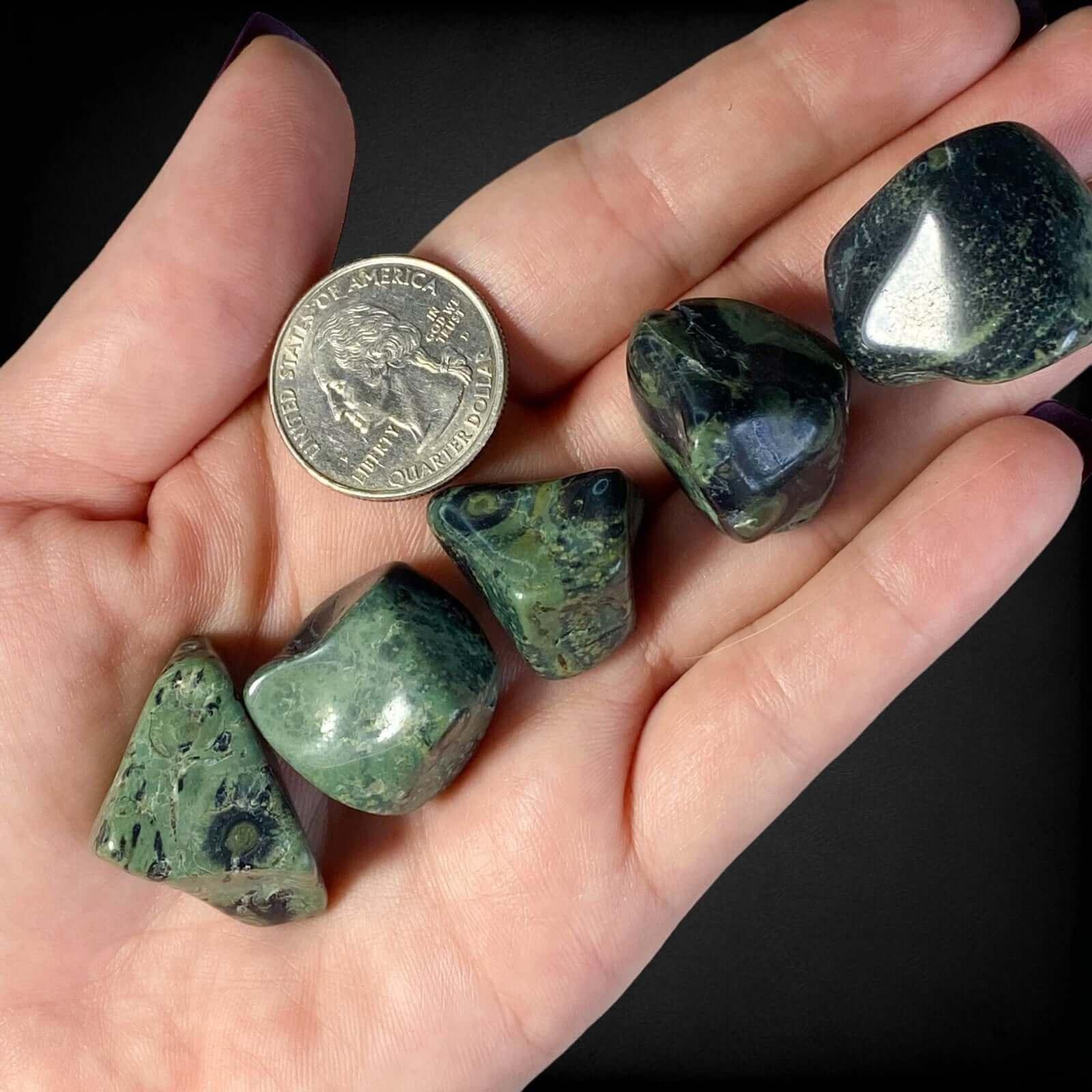 Kambaba Jasper Tumbles | Set of 2 - Mooncat Crystals