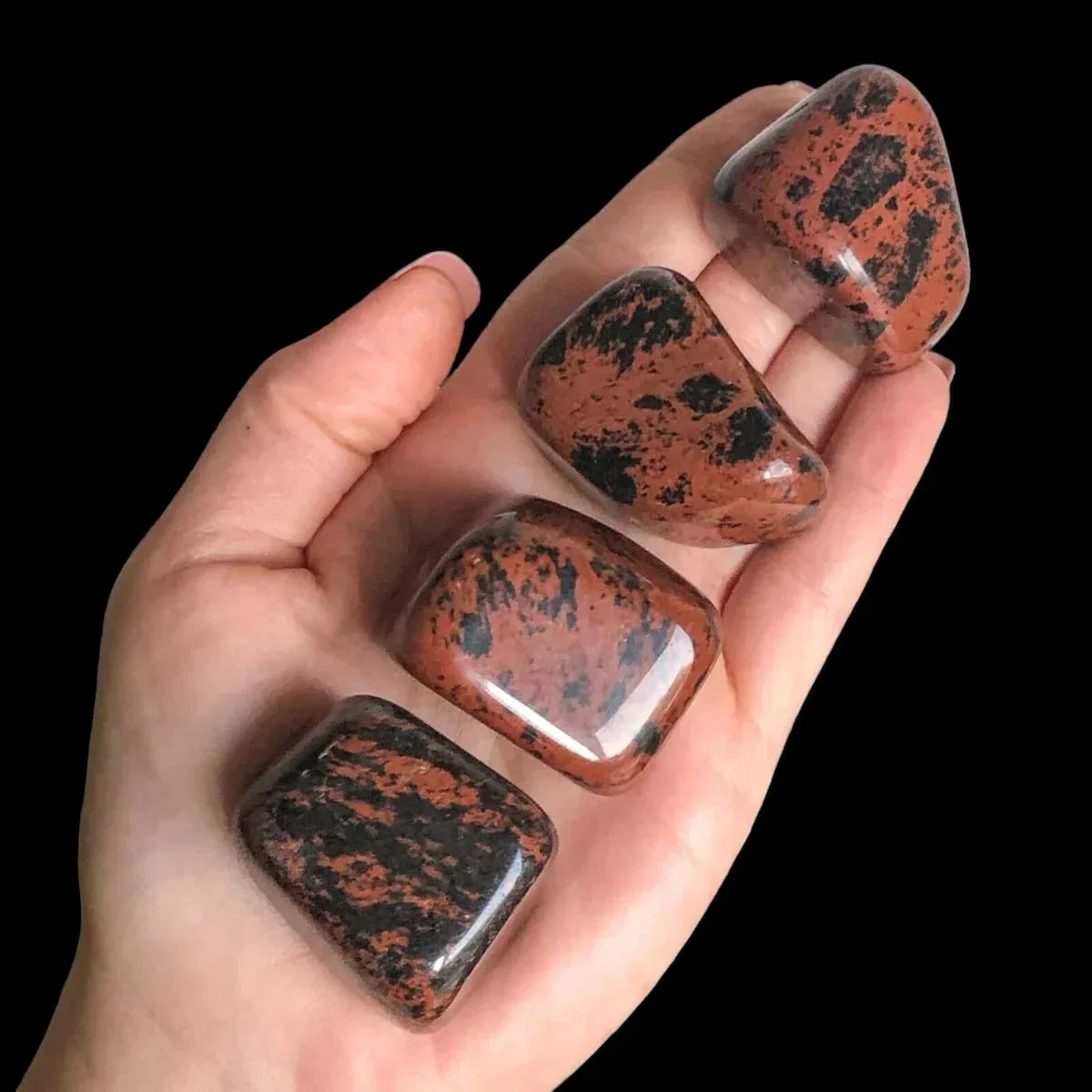 Large Mahogany Obsidian Tumbles | Set of 2 - Mooncat Crystals
