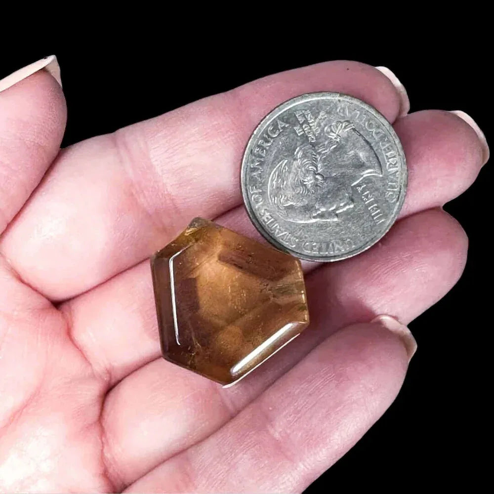 Natural African Citrine Slice | Stock D - Mooncat Crystals