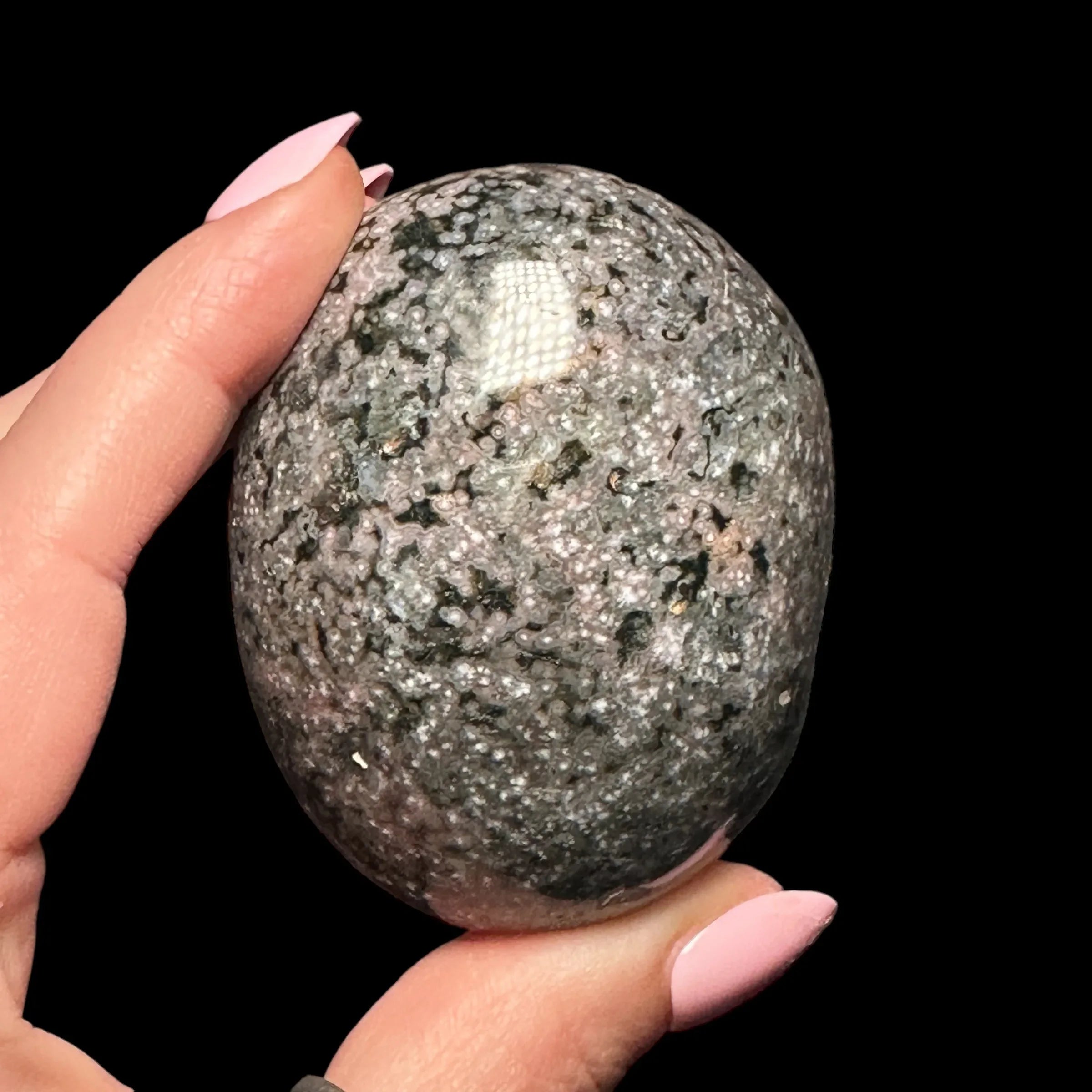 Sea Jasper Palm Stone - Mooncat Crystals