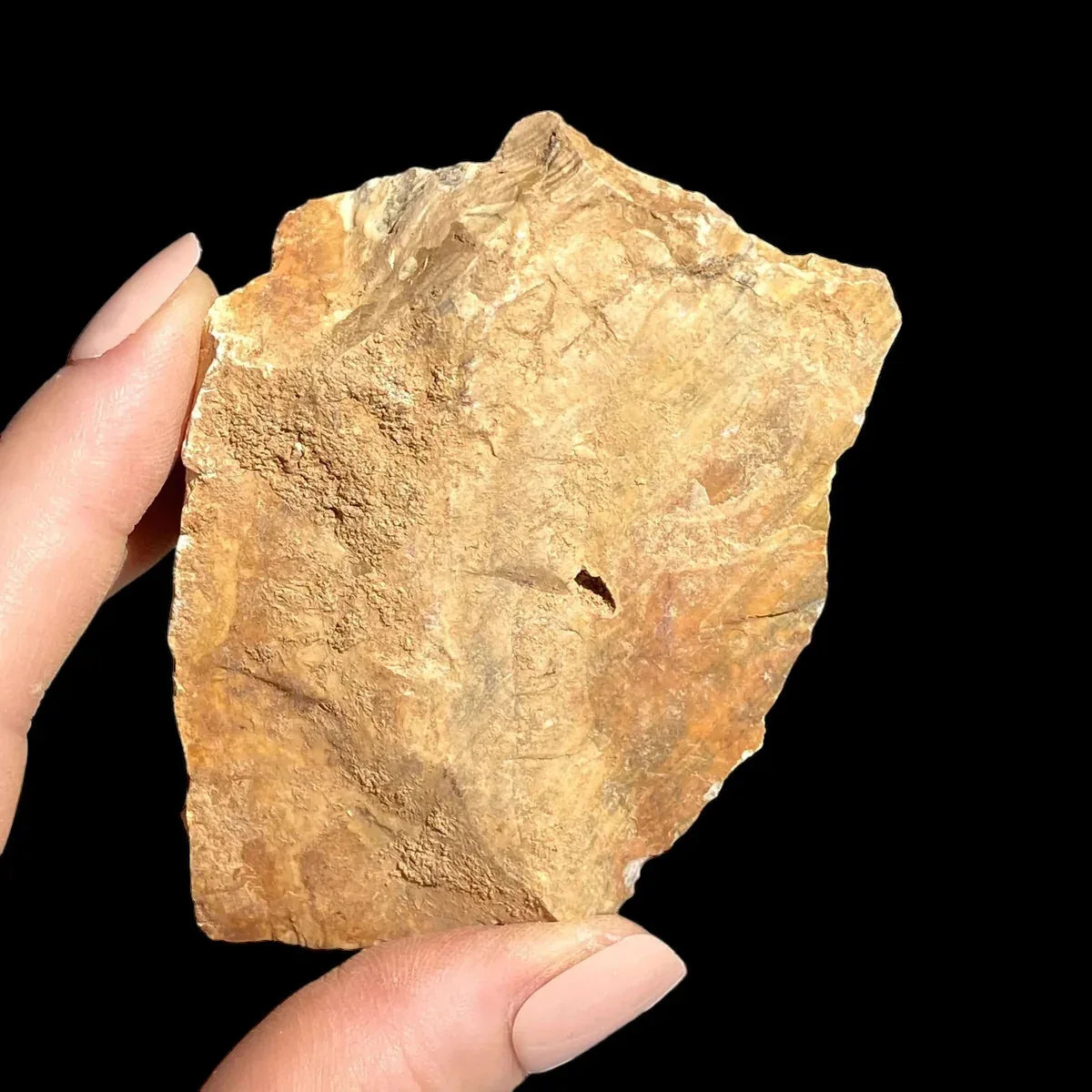 Ohio Flint with Dendrites | Stock N - Mooncat Crystals