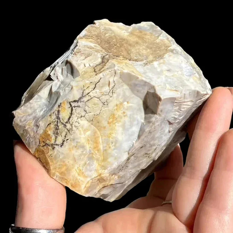 Ohio Flint with Dendrites | Stock N - Mooncat Crystals