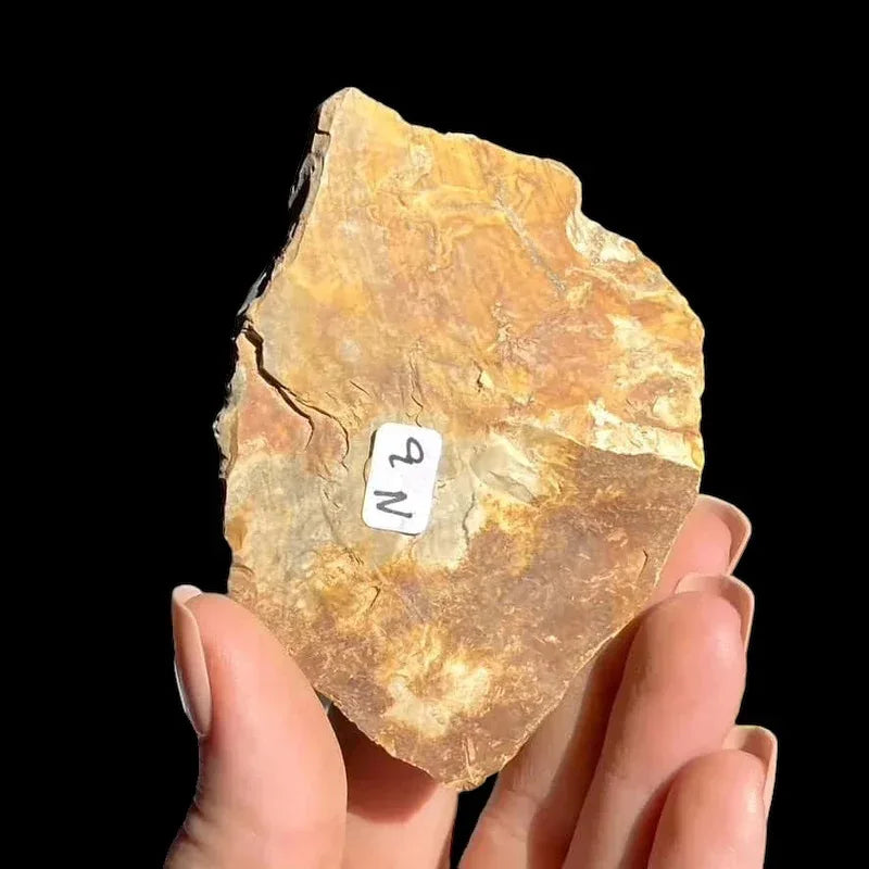 Ohio Flint with Dendrites | Stock N - Mooncat Crystals