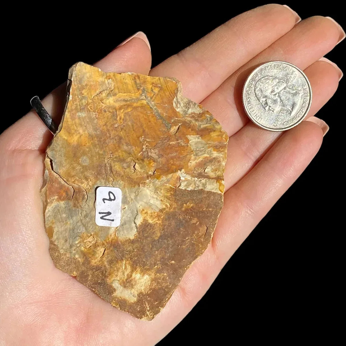 Ohio Flint with Dendrites | Stock N - Mooncat Crystals