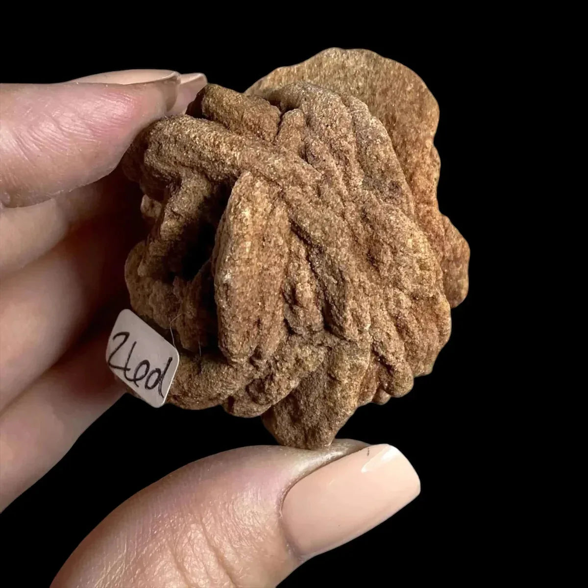 Oklahoma Barite Rose | Stock D - Mooncat Crystals