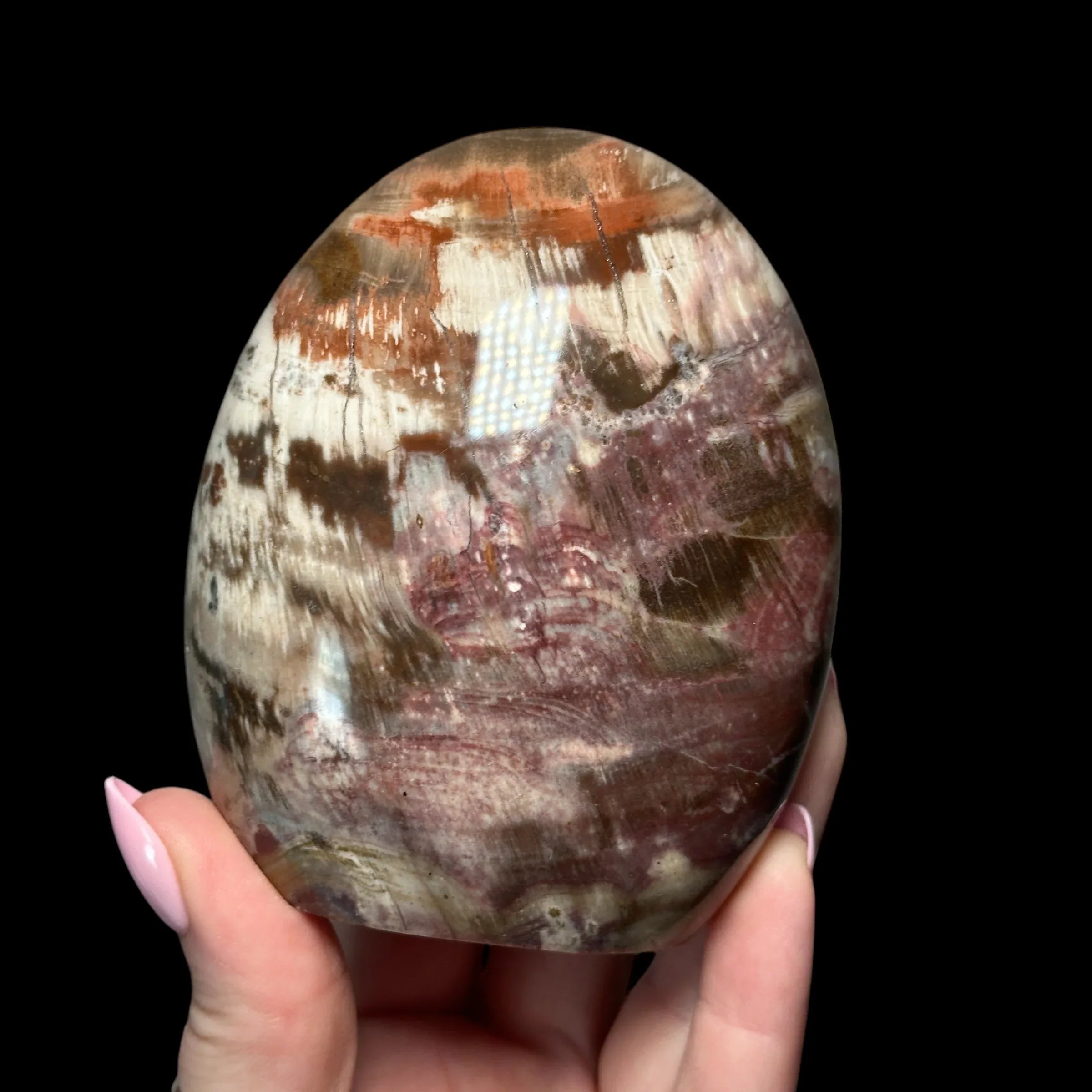 Petrified Wood - Mooncat Crystals