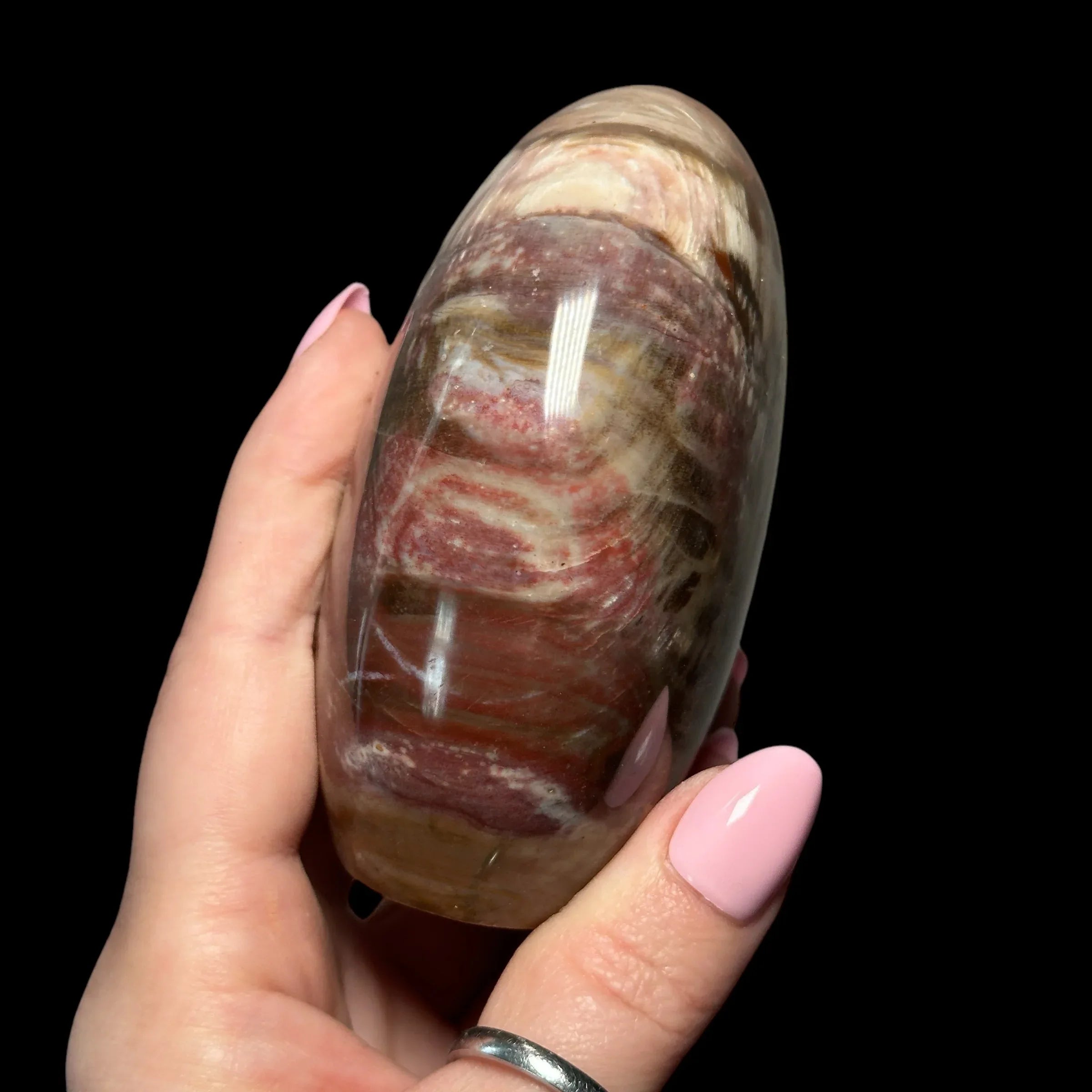 Petrified Wood - Mooncat Crystals