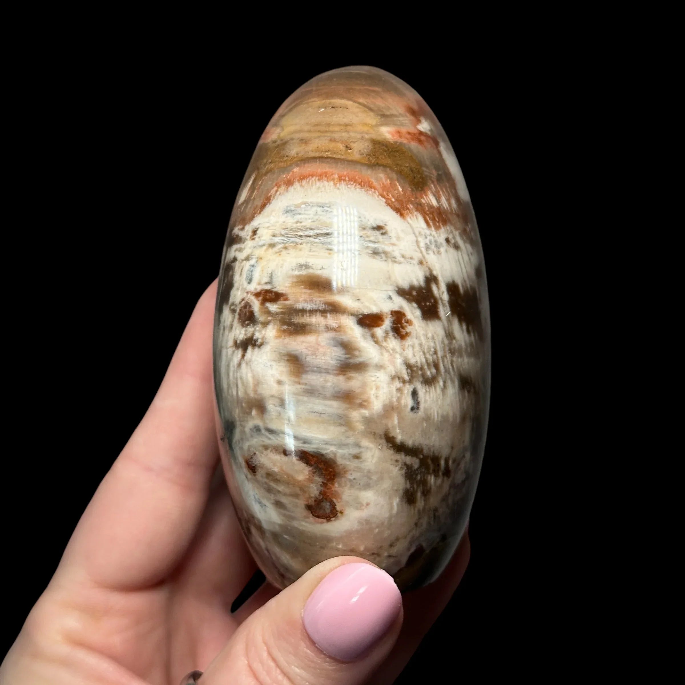 Petrified Wood - Mooncat Crystals