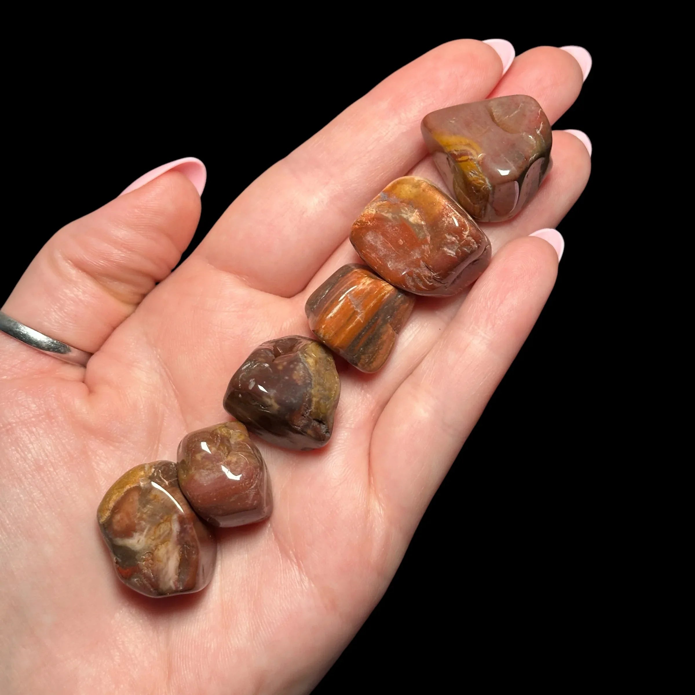 Petrified Wood Tumbles | Set of 3 - Mooncat Crystals