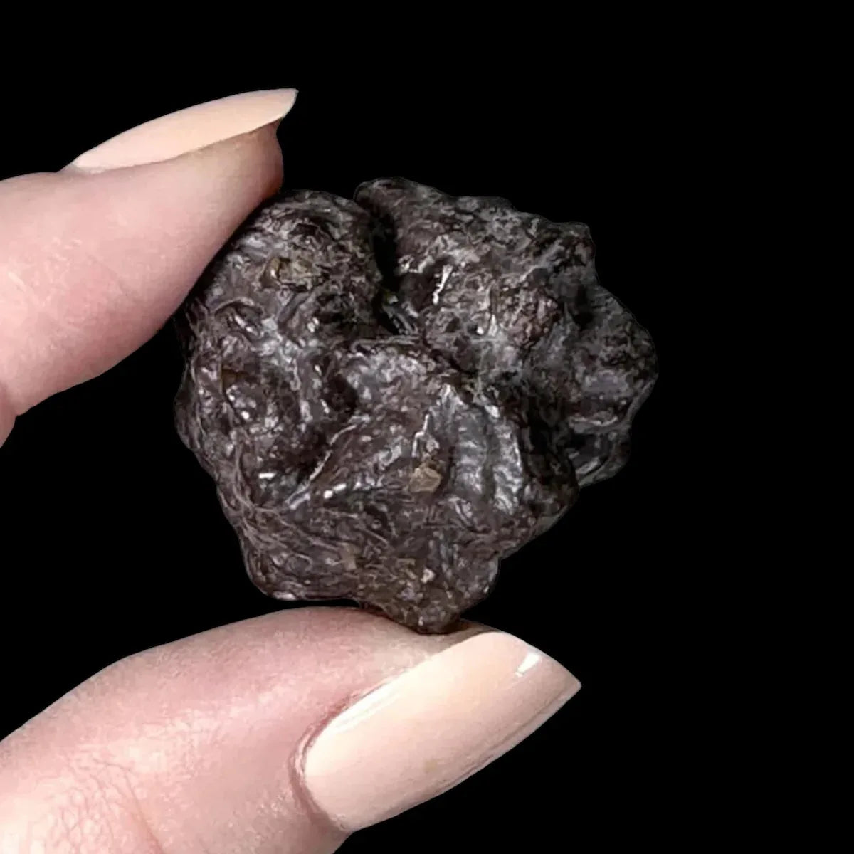 Prophecy Stone | Stock A - Mooncat Crystals