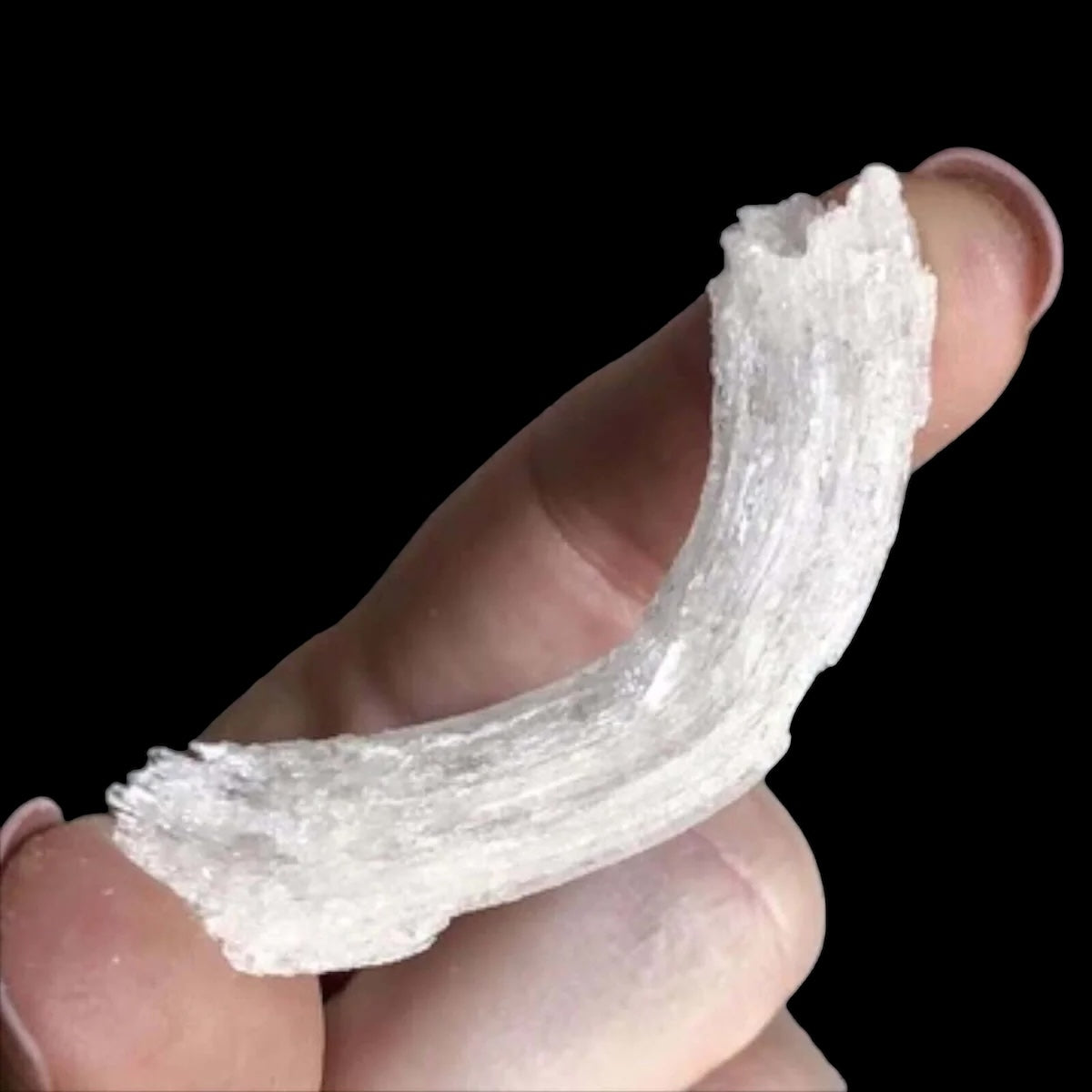 Ram's Horn Selenite | Stock M - Mooncat Crystals