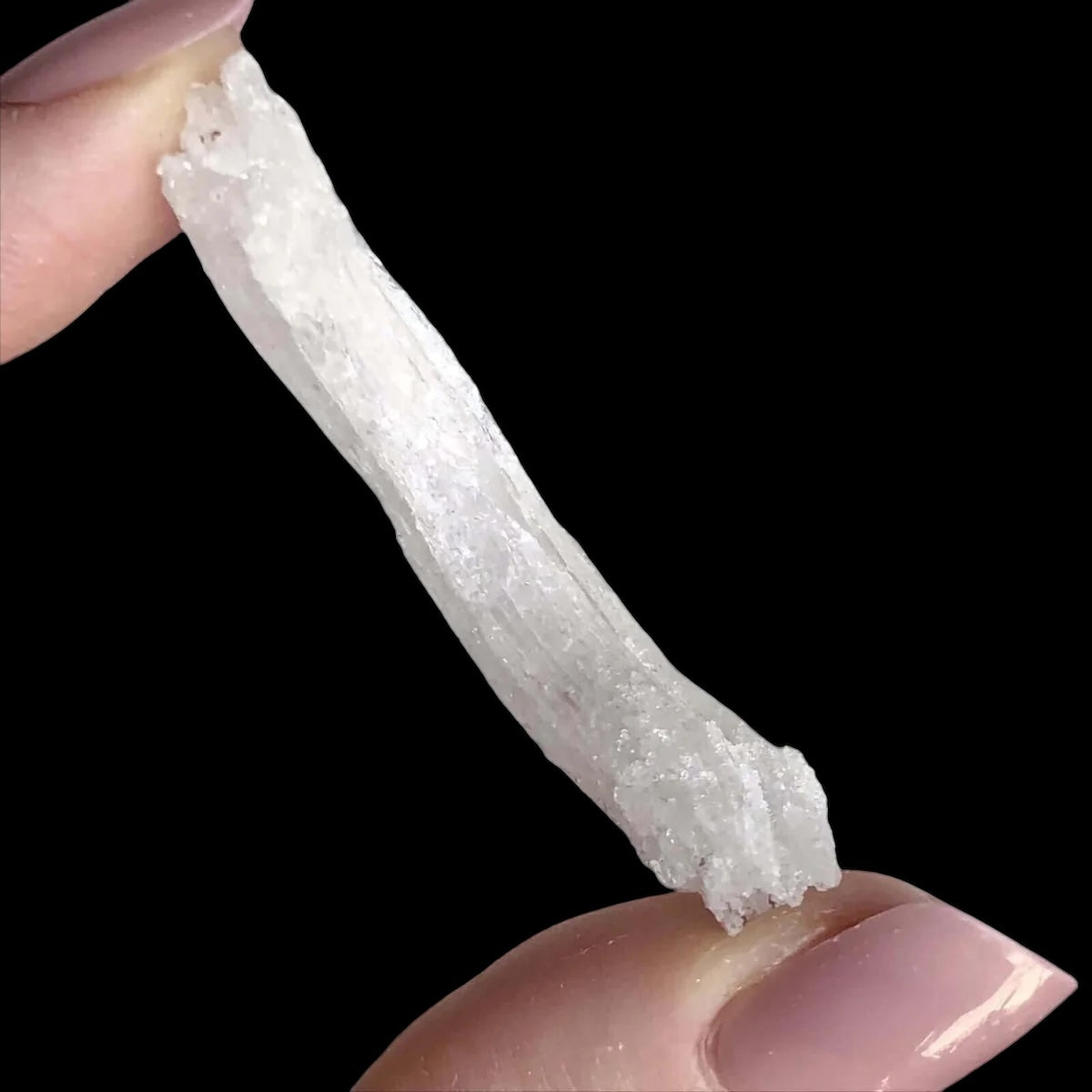 Ram's Horn Selenite | Stock M - Mooncat Crystals