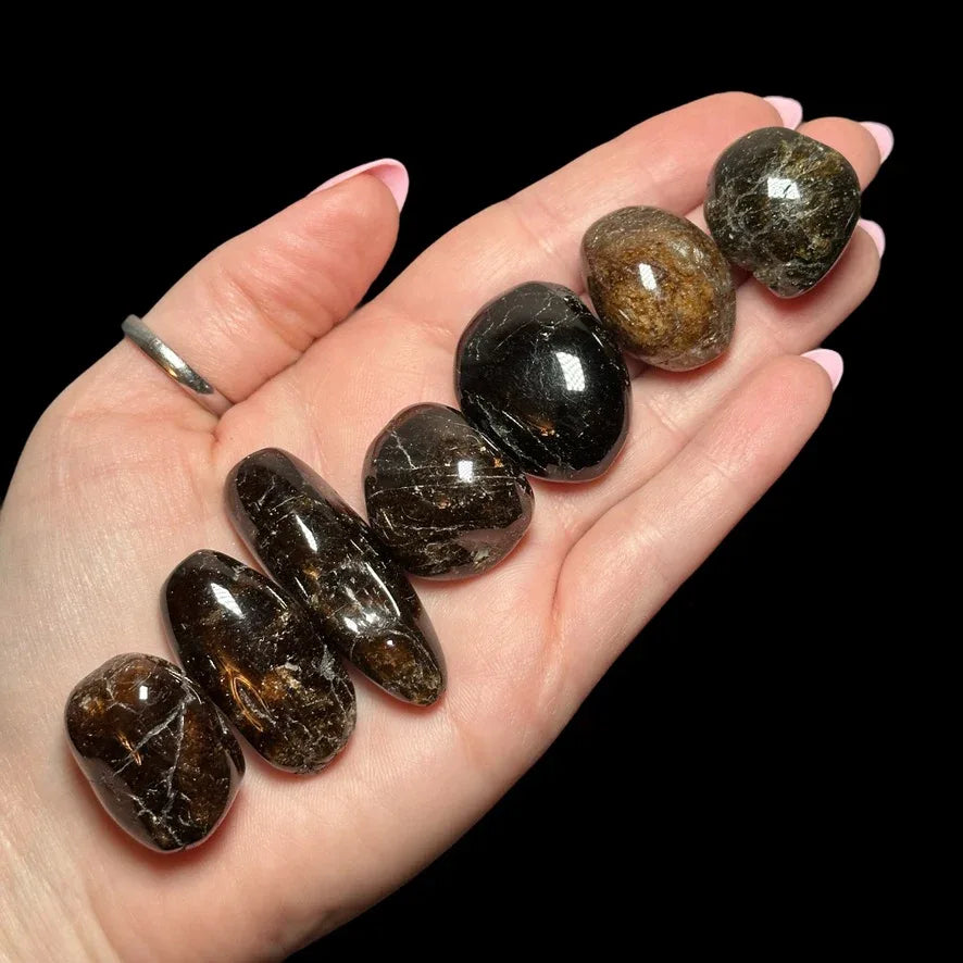 Rare Dravite (Brown Tourmaline) Tumbles - Mooncat Crystals