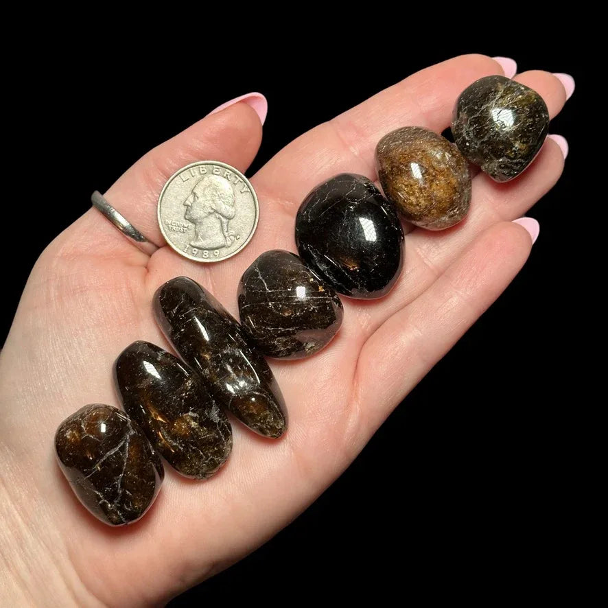 Rare Dravite (Brown Tourmaline) Tumbles - Mooncat Crystals