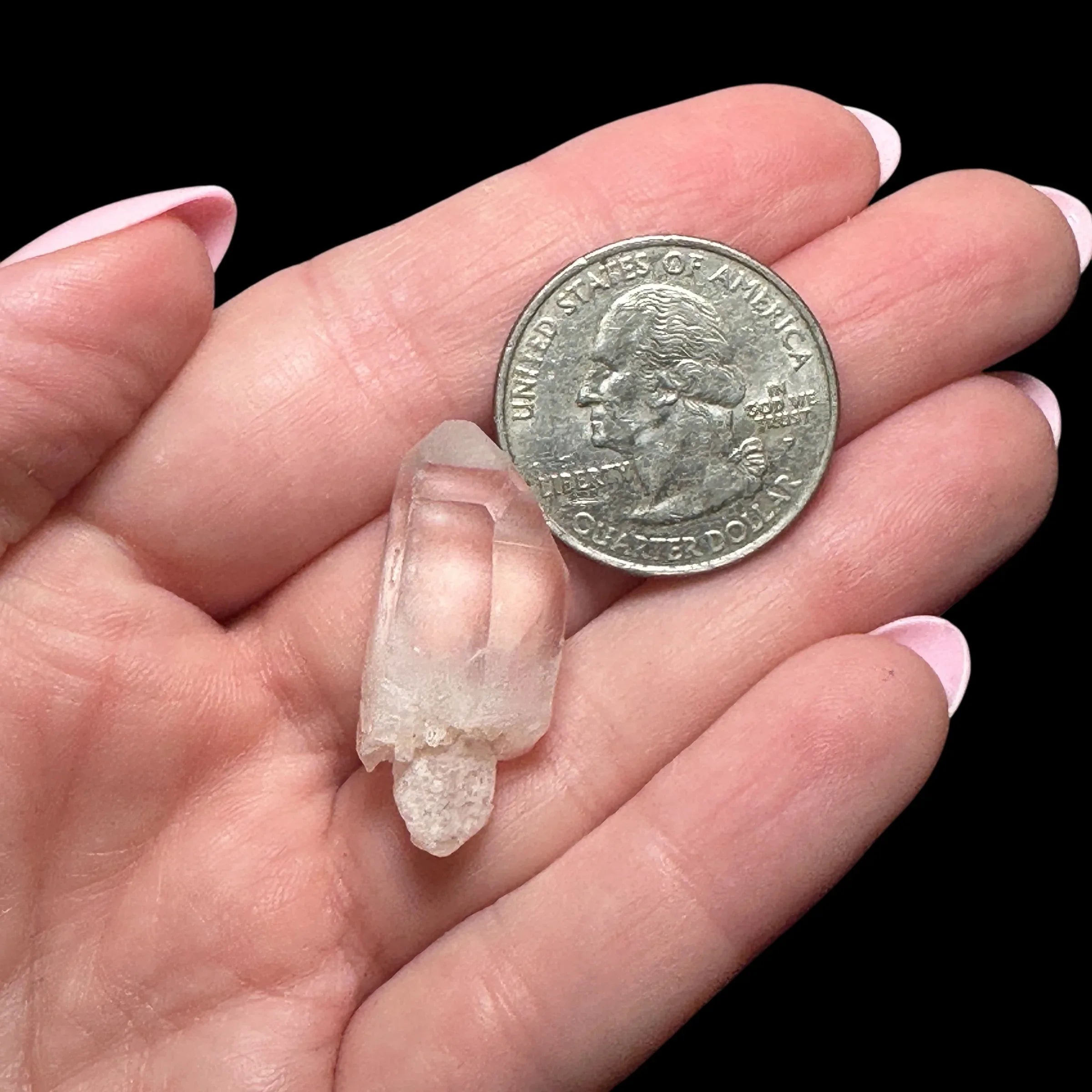 Rare Quartz Scepter | Stock B - Mooncat Crystals