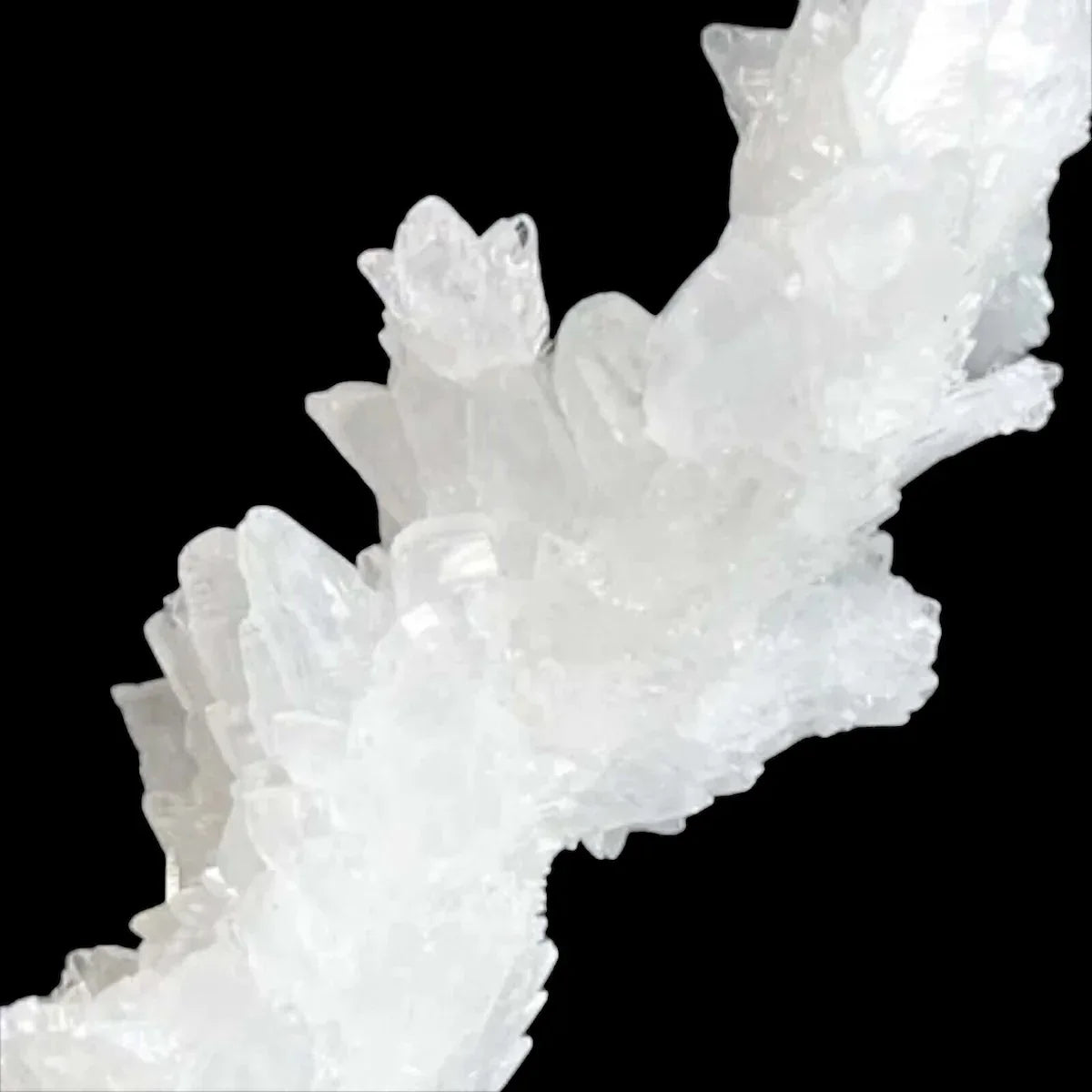 Rare Selenite Stalactite | Stock A - Mooncat Crystals