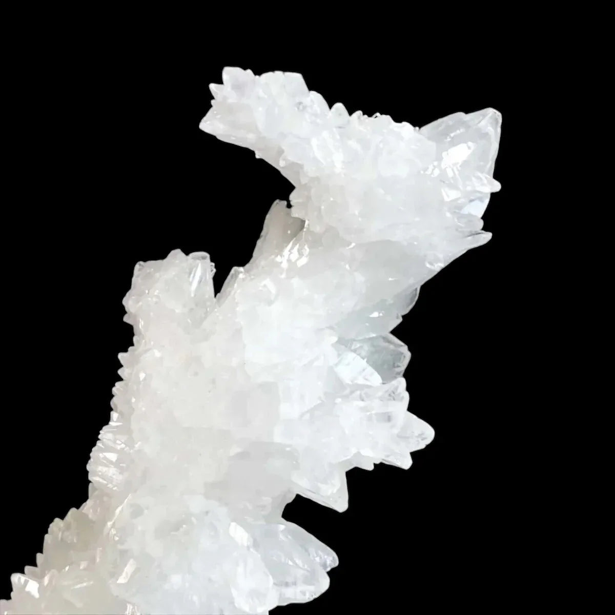 Rare Selenite Stalactite | Stock A - Mooncat Crystals