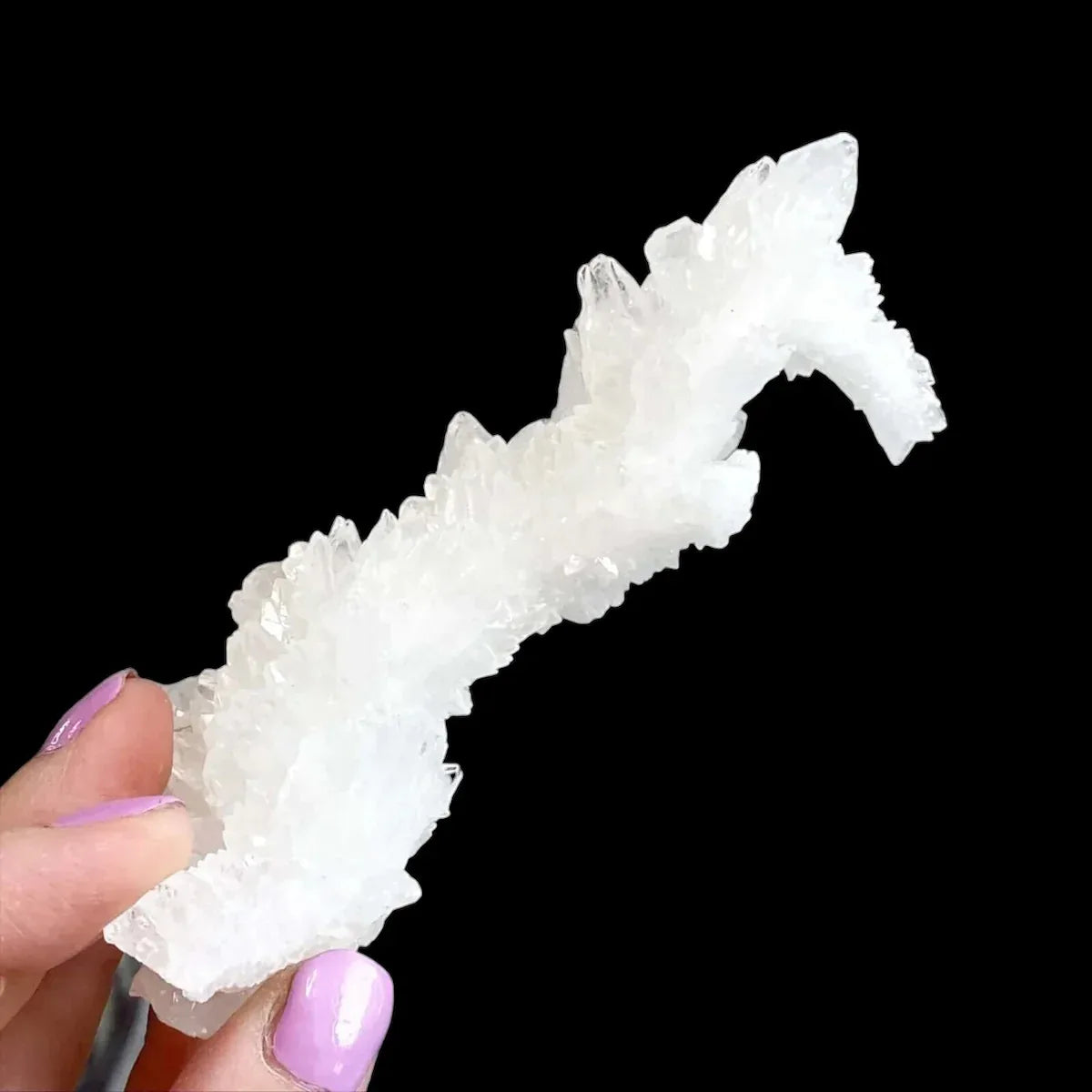 Rare Selenite Stalactite | Stock A - Mooncat Crystals