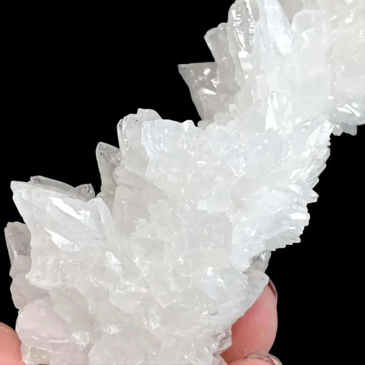 Rare Selenite Stalactite | Stock A - Mooncat Crystals