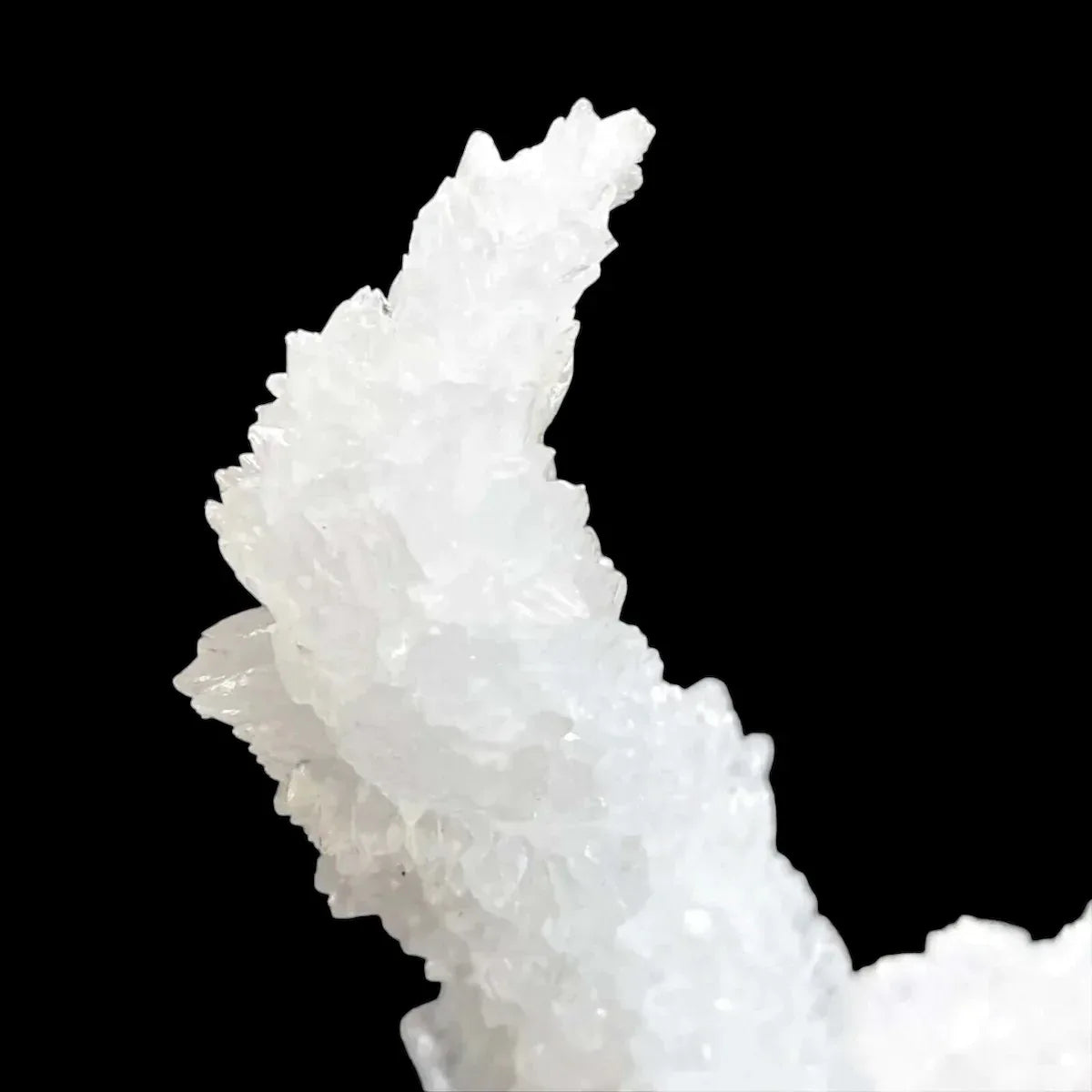 Rare Selenite Stalactite | Stock C - Mooncat Crystals