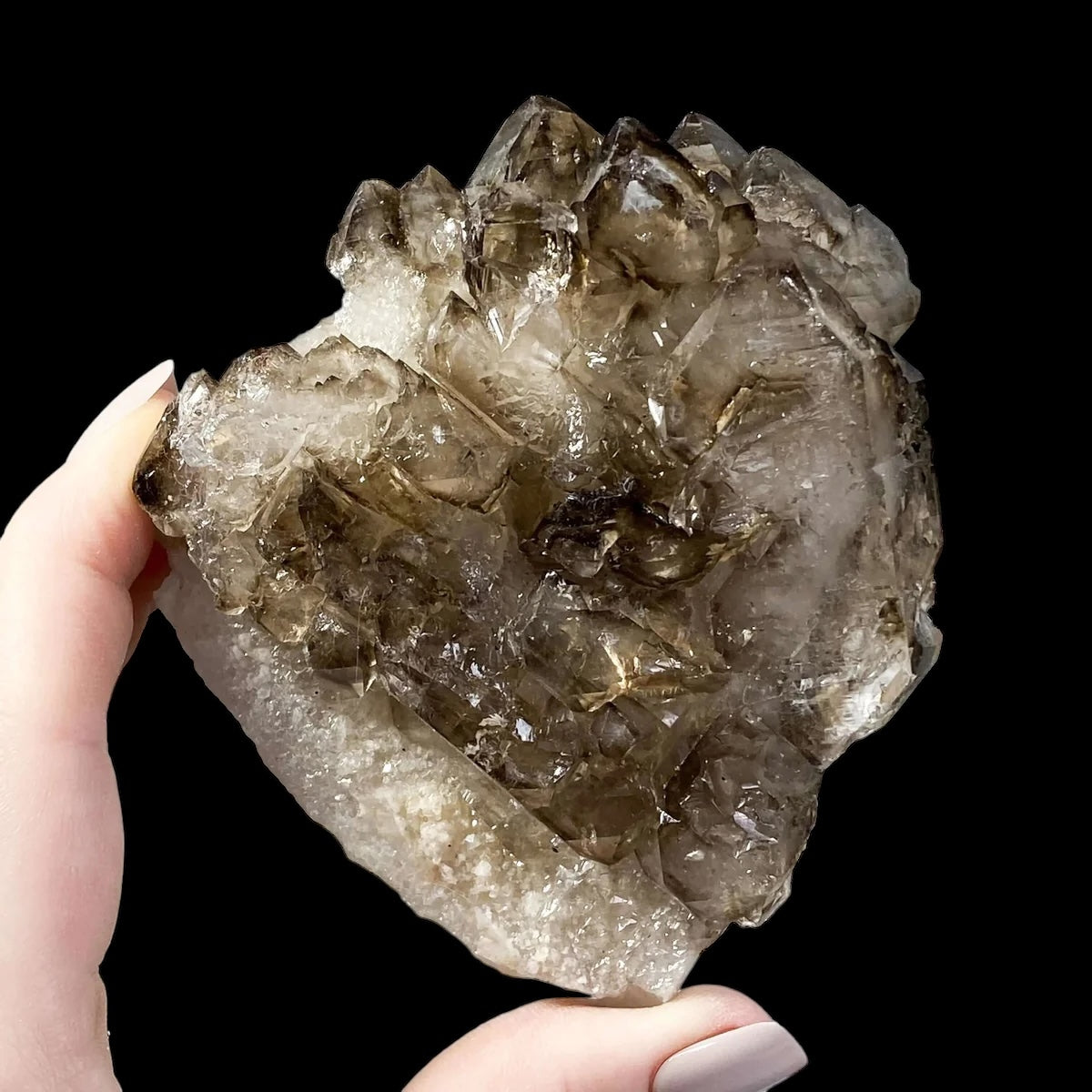Self-Healed Smoky Elestial Quartz | Stock H - Mooncat Crystals