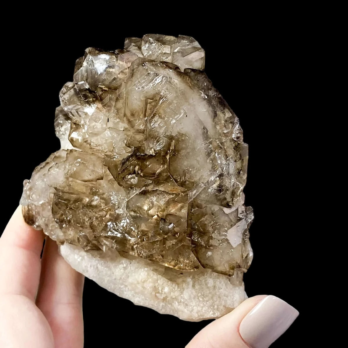 Self-Healed Smoky Elestial Quartz | Stock H - Mooncat Crystals