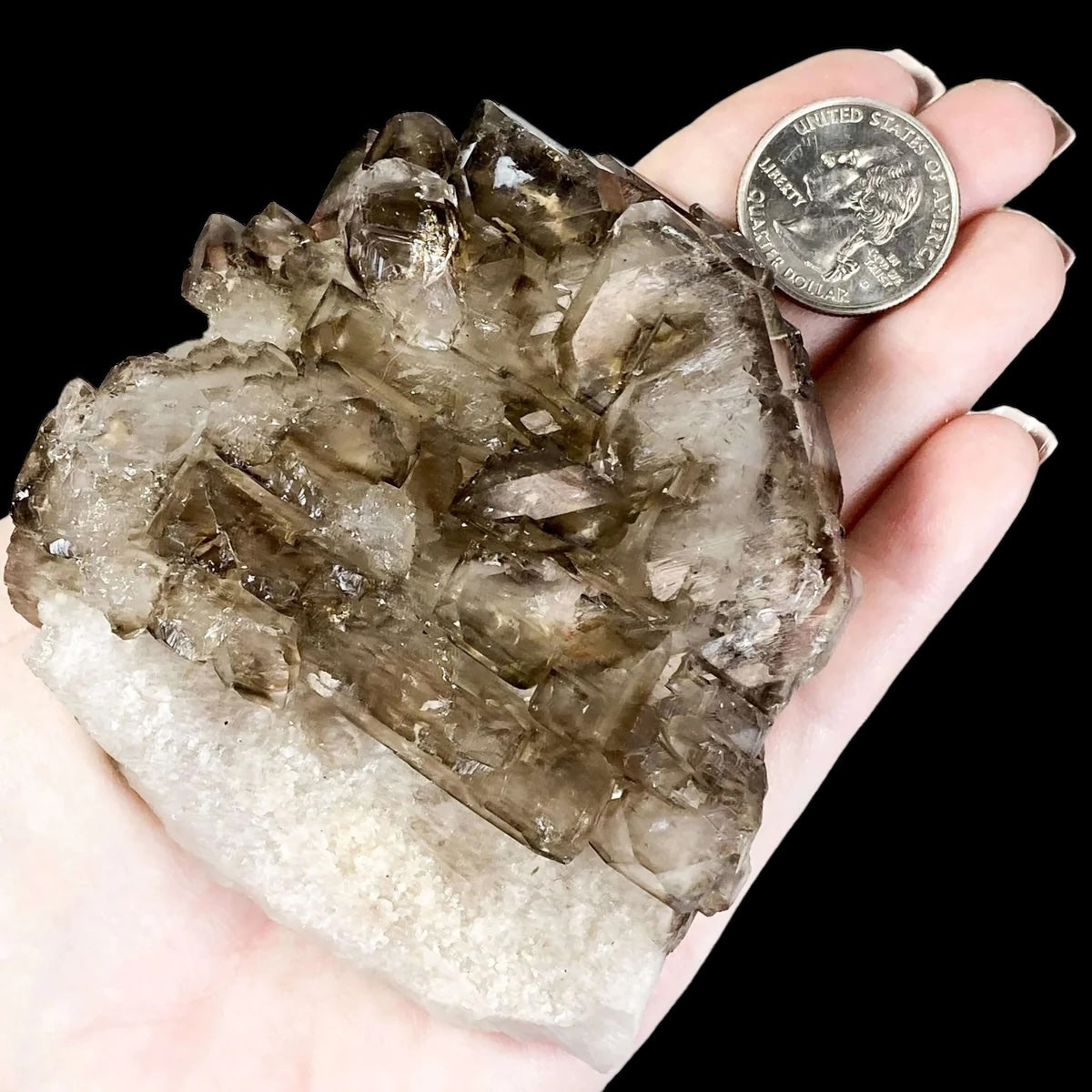 Self-Healed Smoky Elestial Quartz | Stock H - Mooncat Crystals