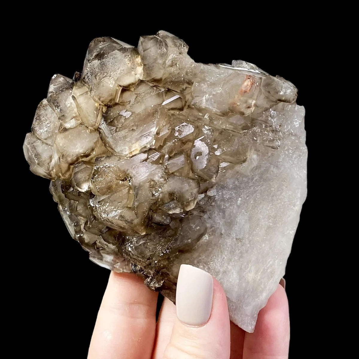 Self-Healed Smoky Elestial Quartz | Stock H - Mooncat Crystals