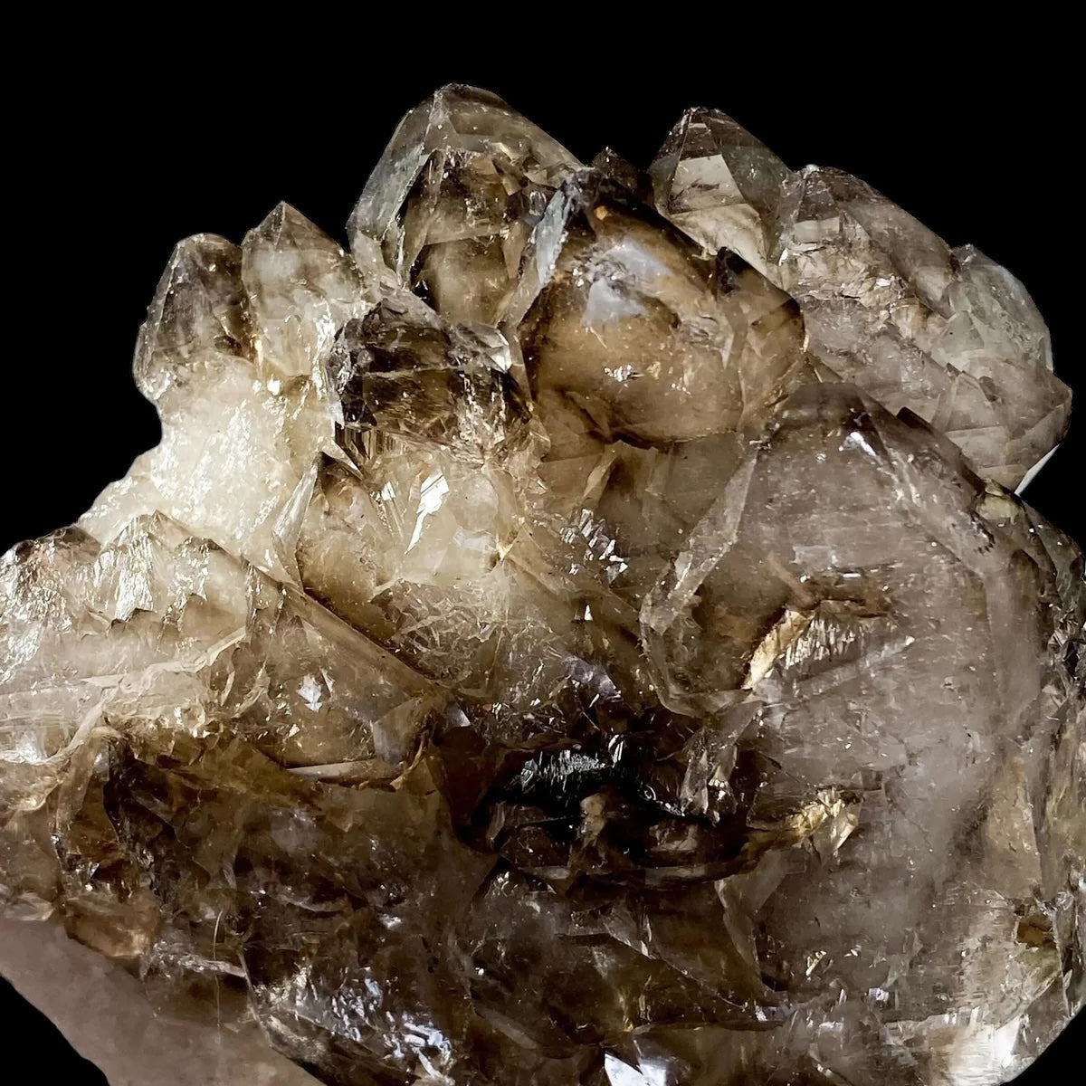 Self-Healed Smoky Elestial Quartz | Stock H - Mooncat Crystals