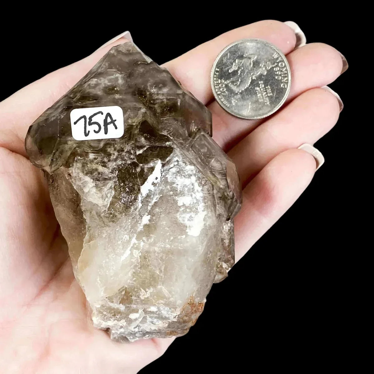 Smoky Elestial Quartz | Stock A - Mooncat Crystals