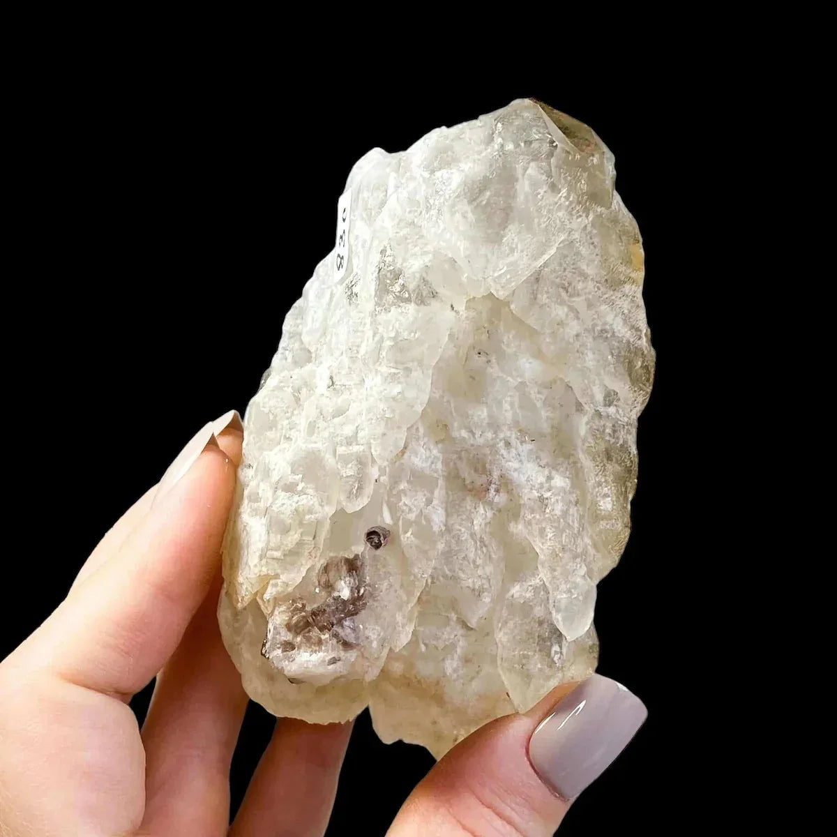 Smoky Elestial Quartz | Stock C - Mooncat Crystals