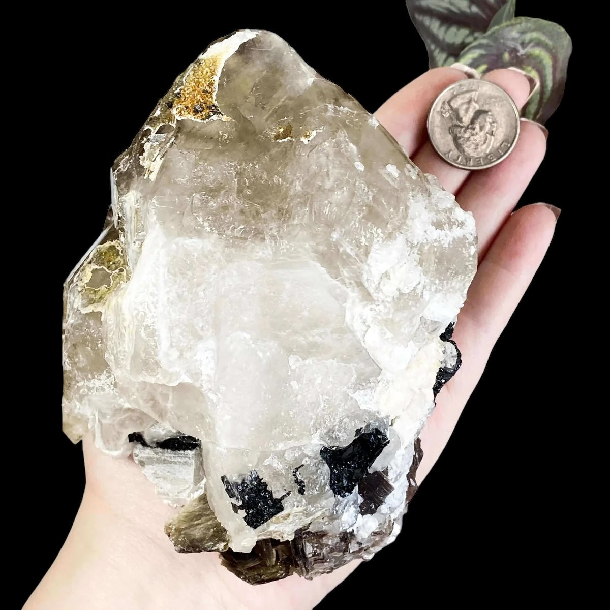 Smoky Elestial Quartz with Mica and Black Tourmaline | Stock G - Mooncat Crystals